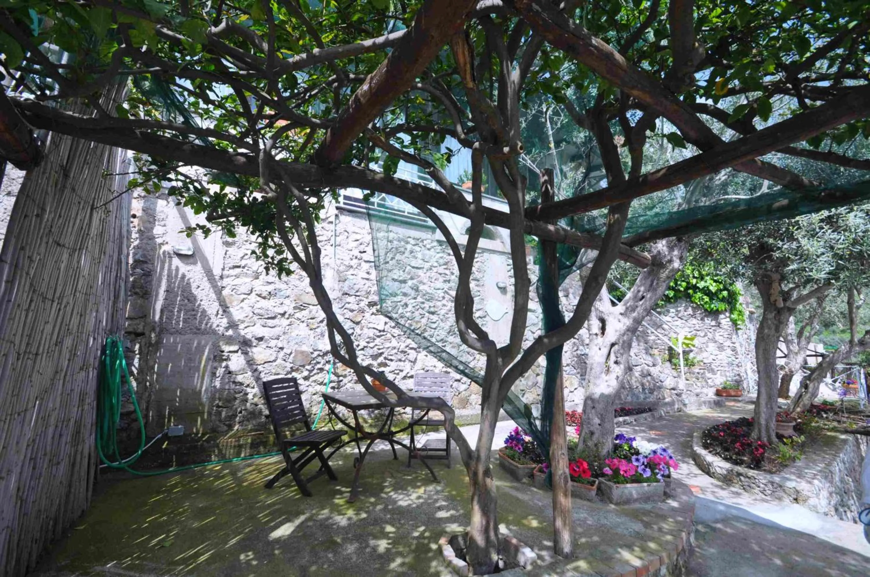 Garden in Star Fish House