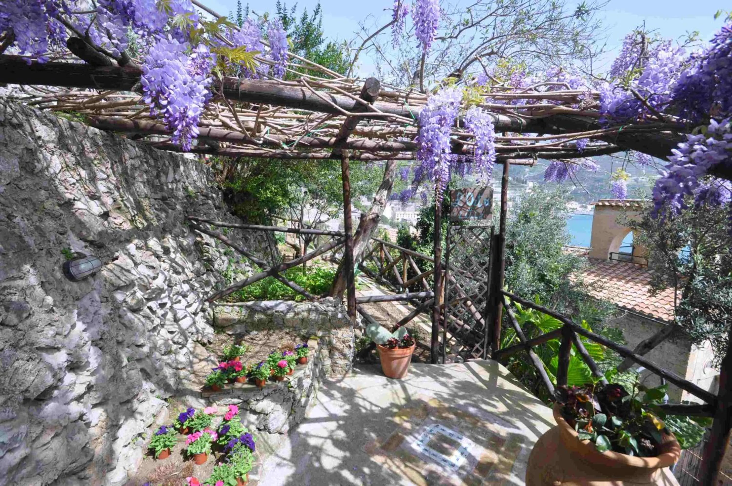 Garden in Star Fish House