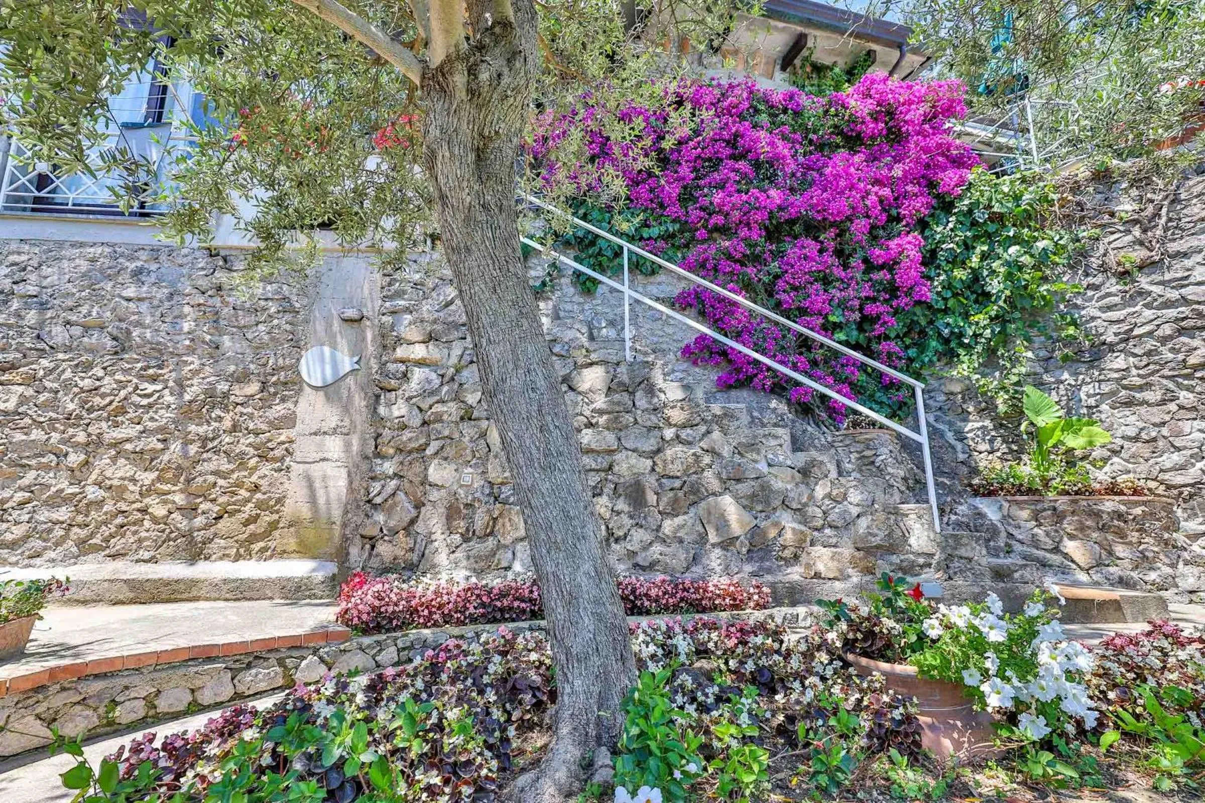 Garden in Star Fish House