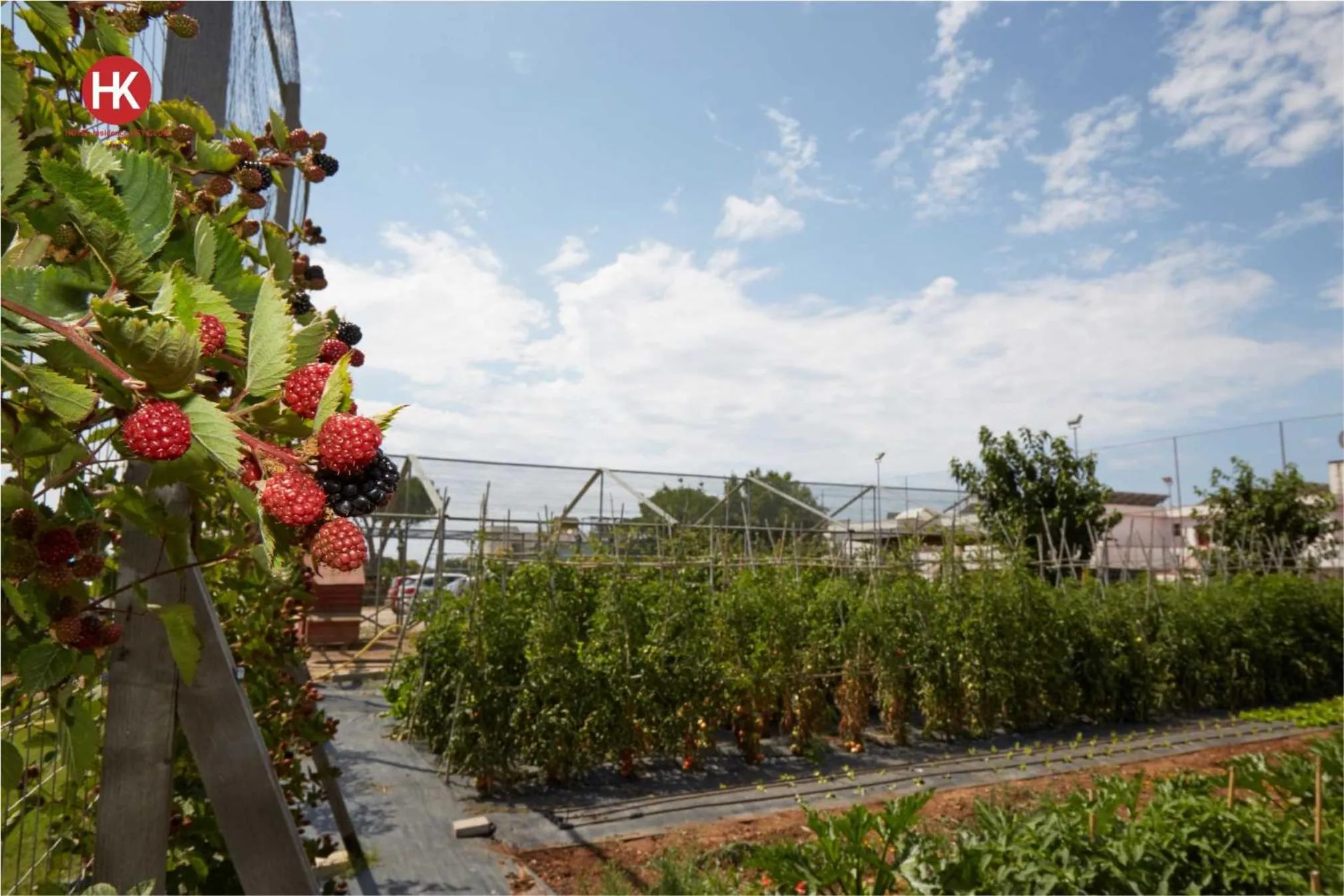 Hotel Residence Key Club