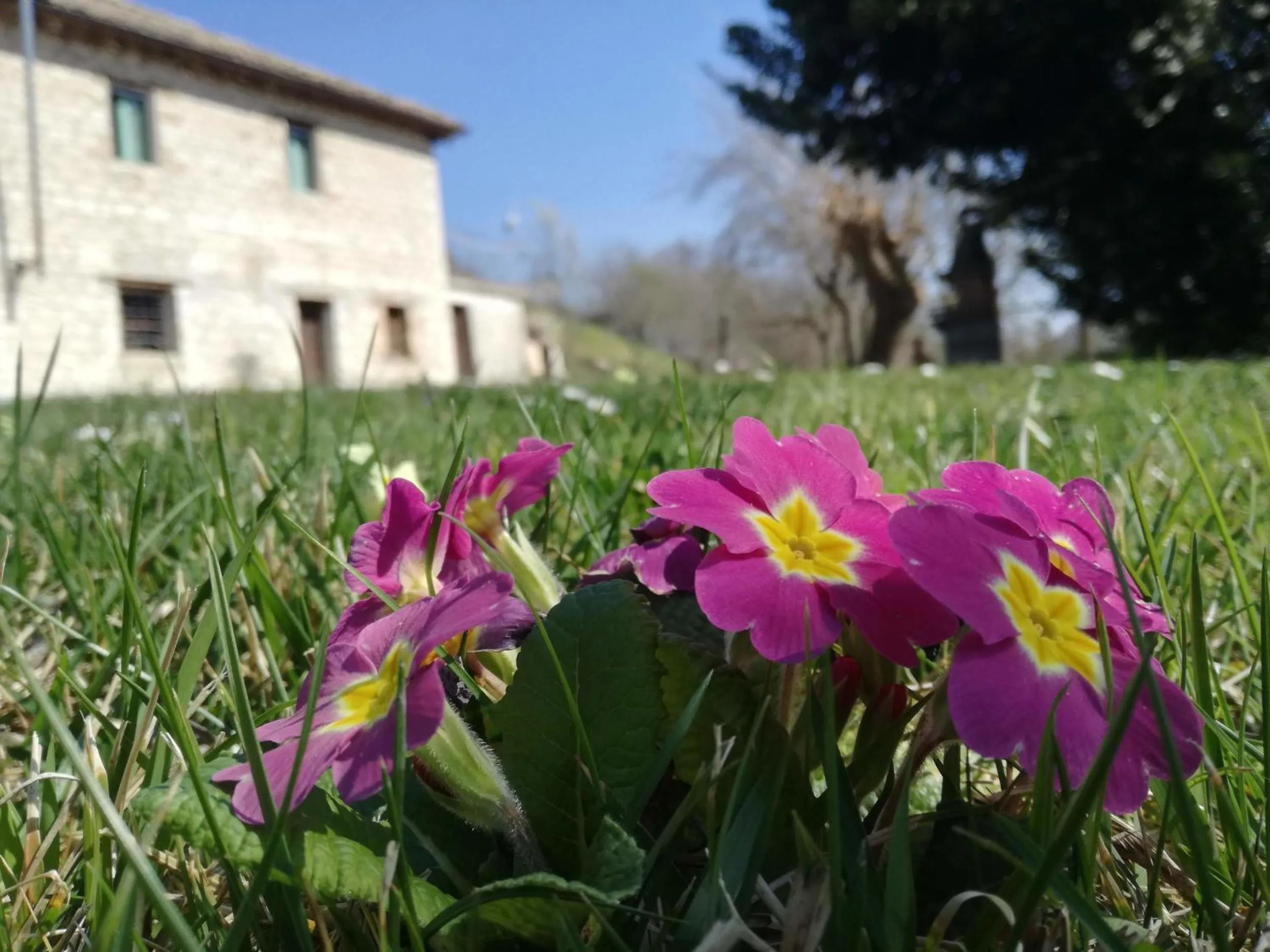 Spring in Casa Sponge B&B