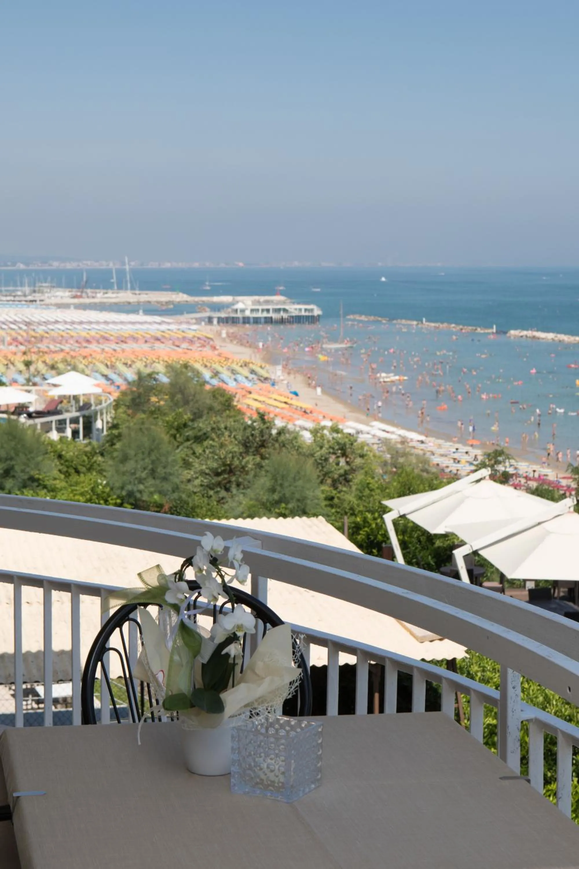 Balcony/Terrace in Hotel Adler
