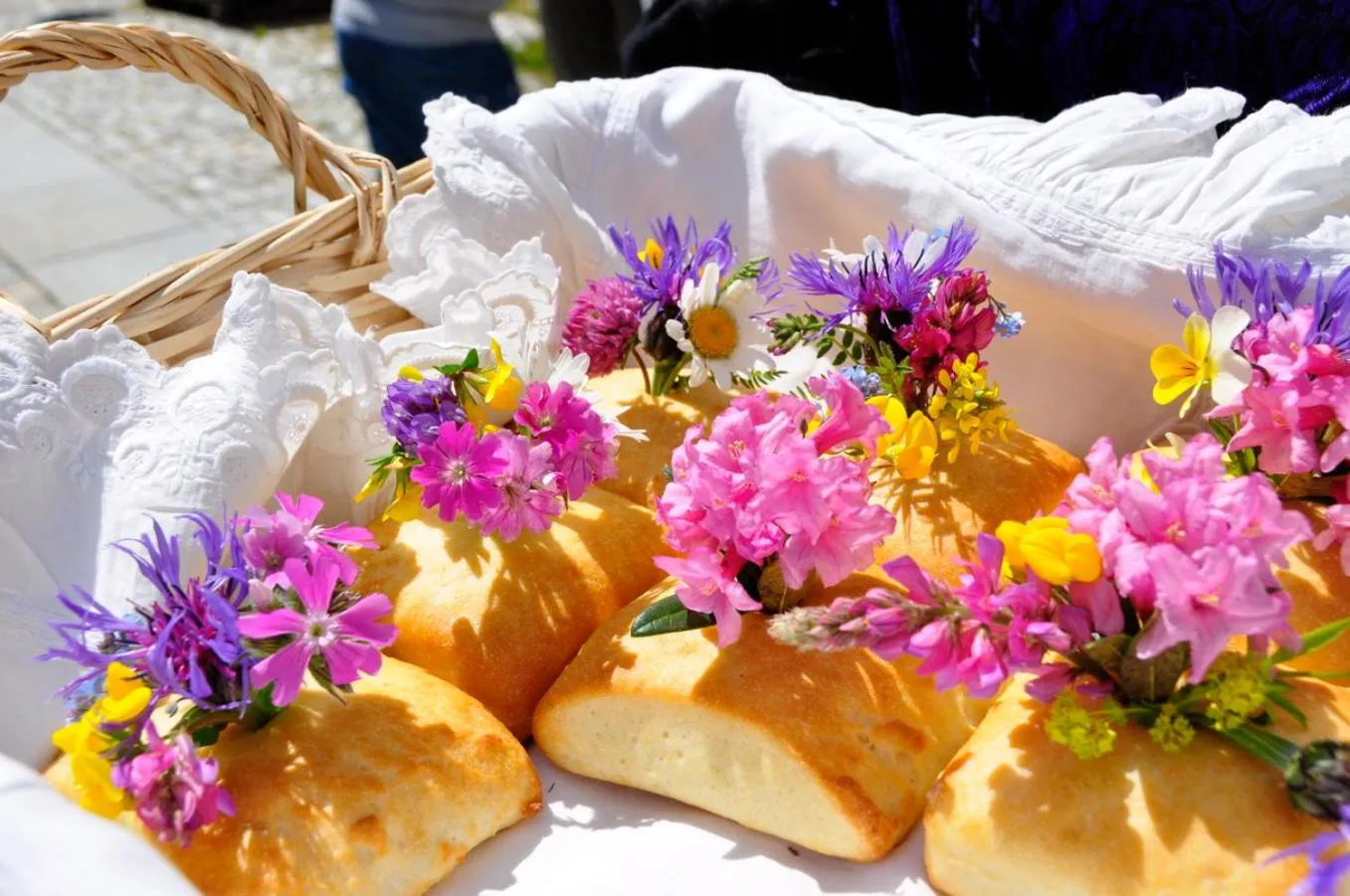 Natural landscape in Shackleton Chalet