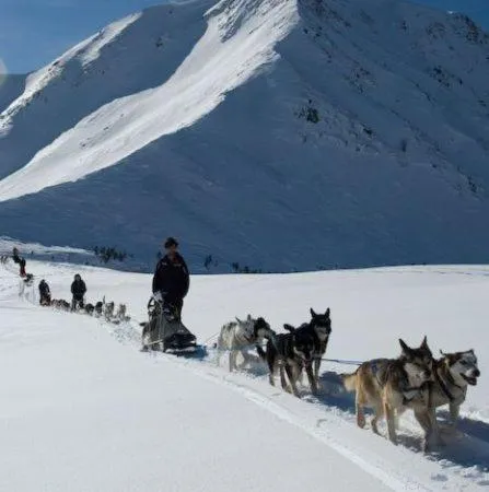 Winter in Shackleton Chalet