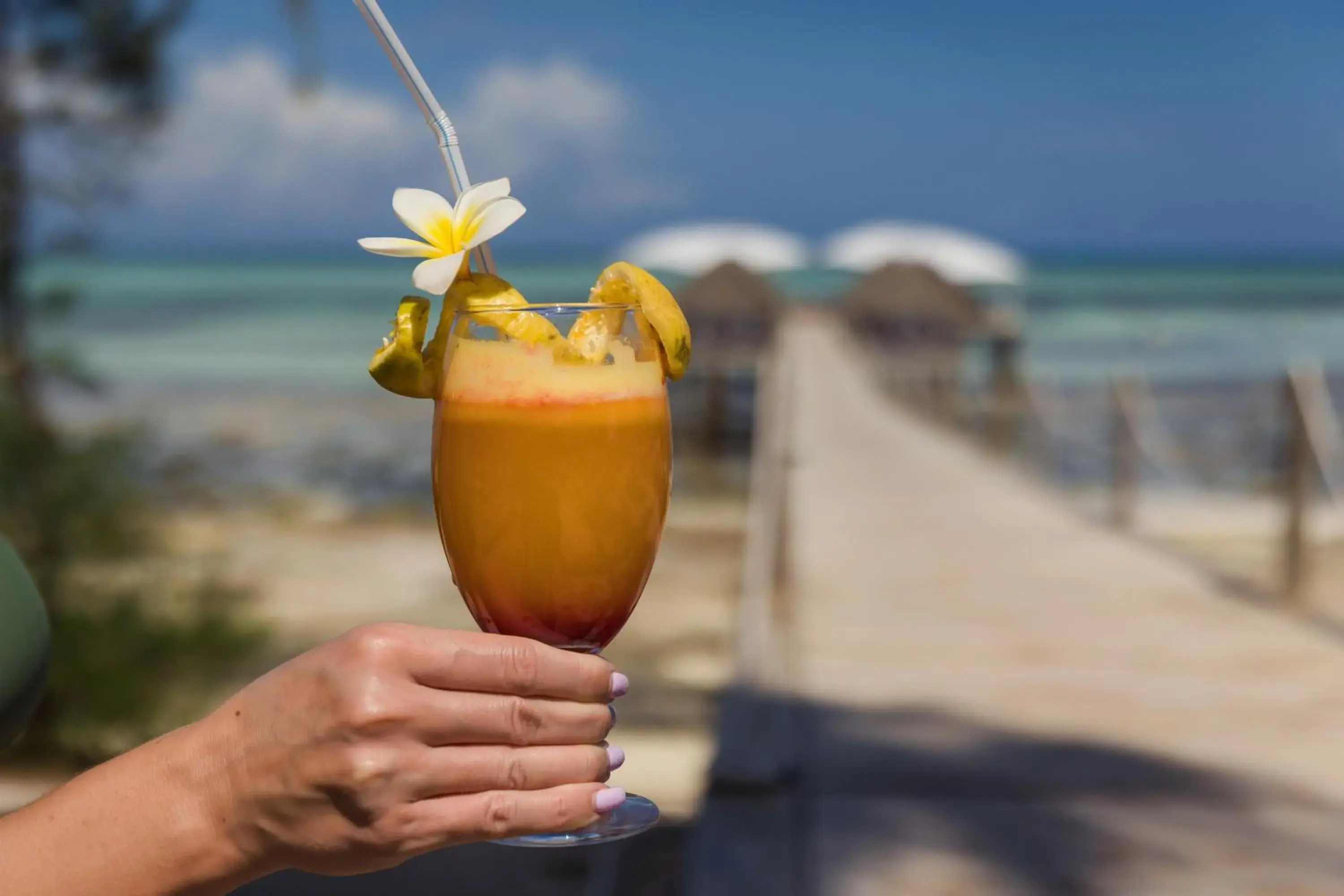 Restaurant/places to eat in Blue Moon Resort Restaurant/places to eat in Blue Moon Resort