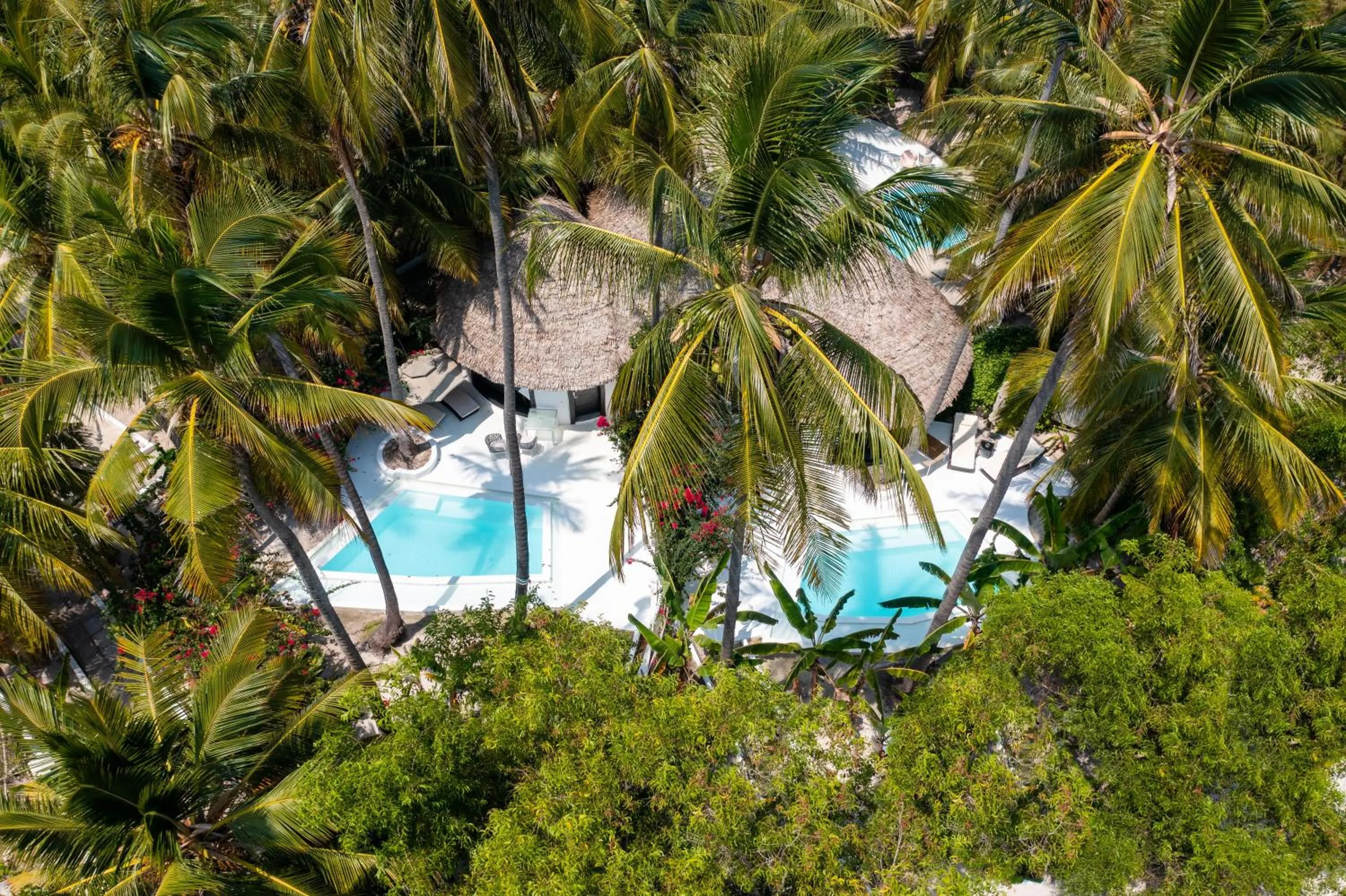 Day in Blue Moon Resort