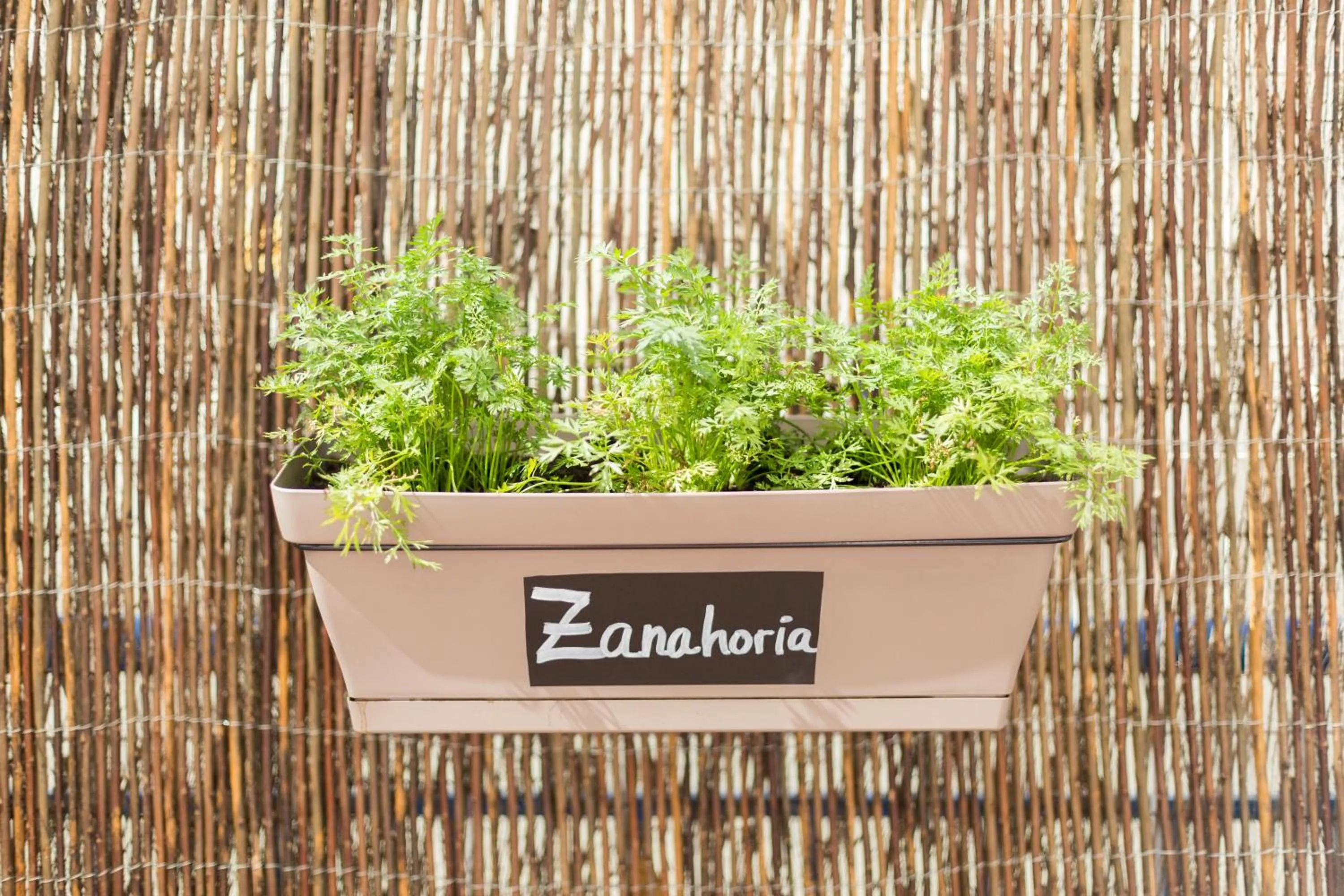 Restaurant/places to eat in Ibis Barcelona Castelldefels