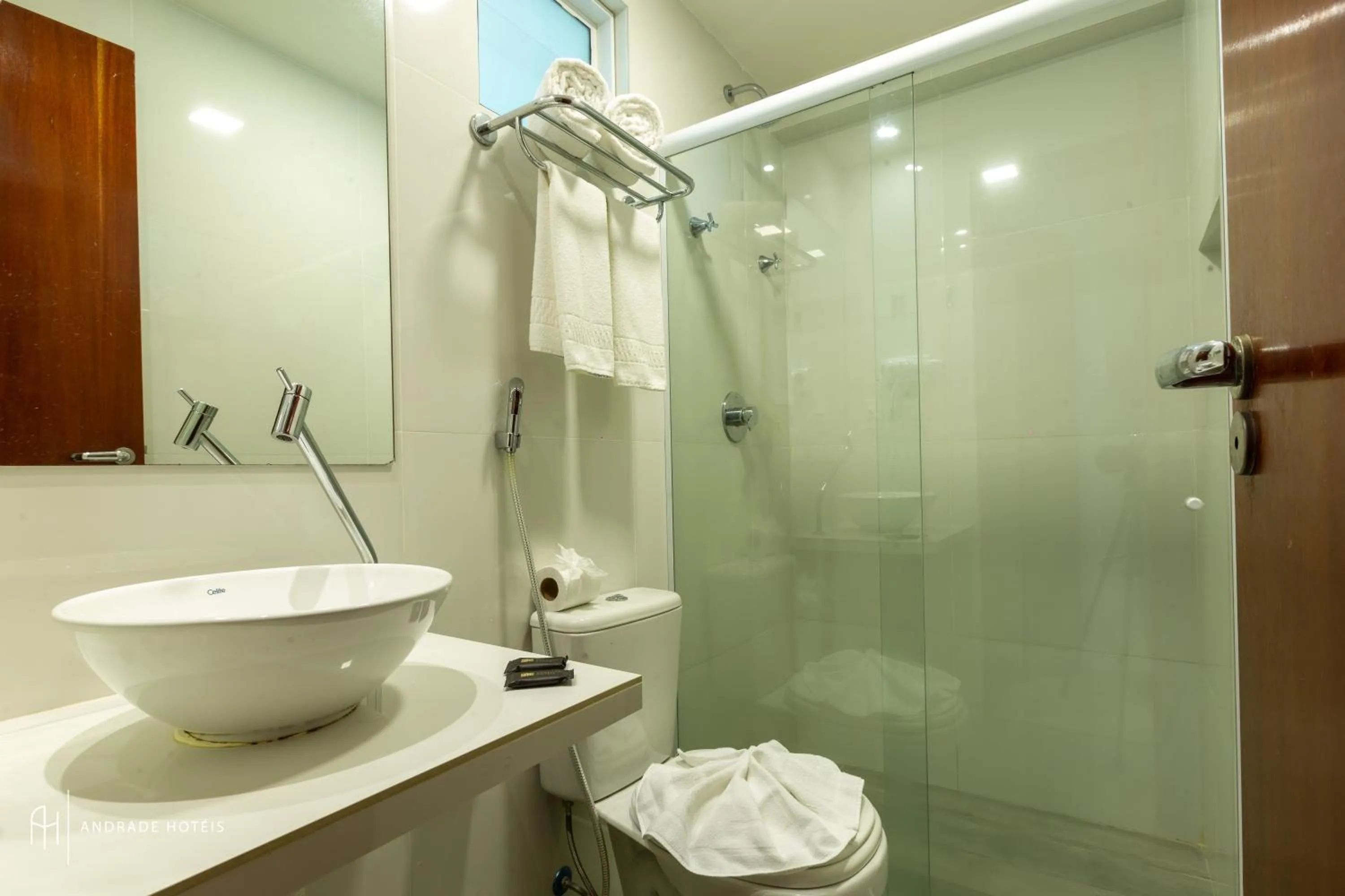 Toilet in Rede Andrade Luxor