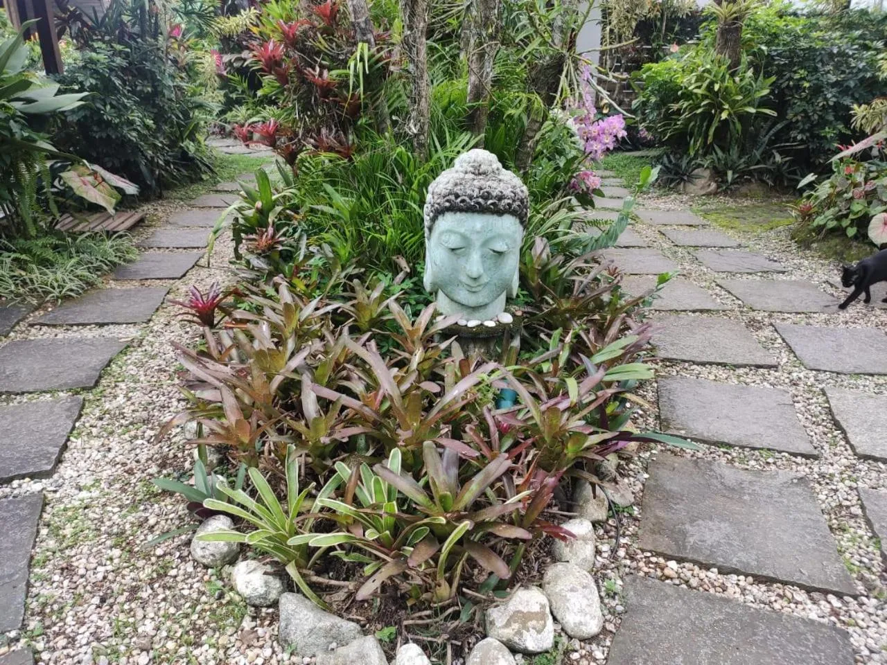 Natural landscape in Eliconial Paraty Pousada