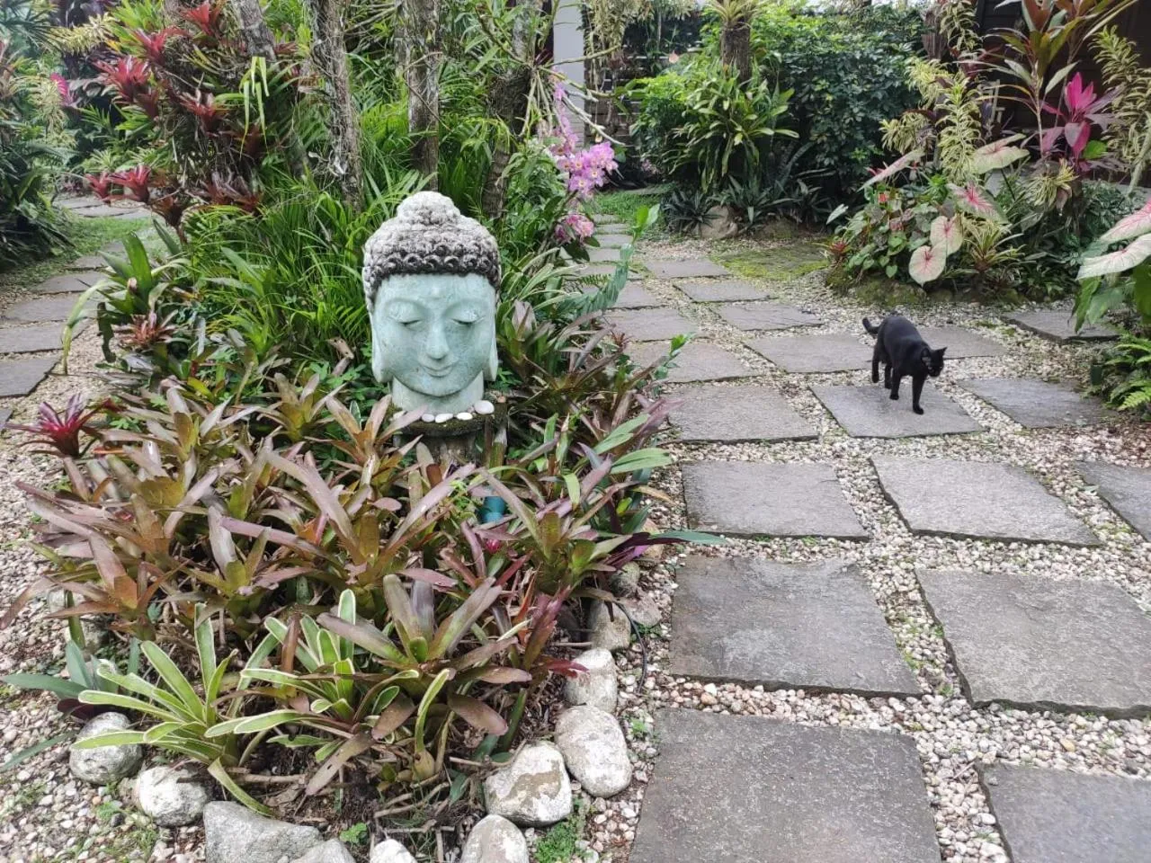 Garden in Eliconial Paraty Pousada