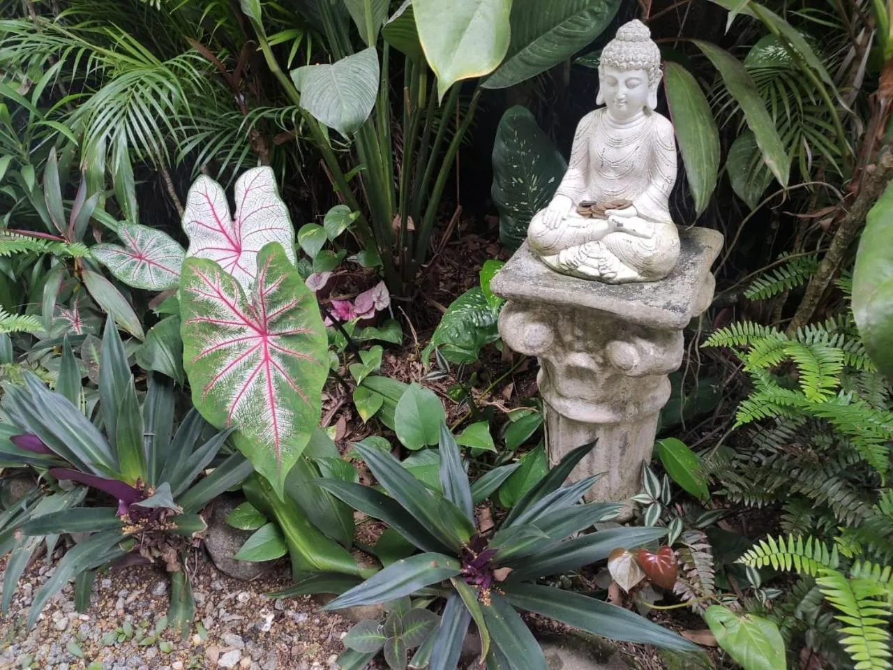 Garden view in Eliconial Paraty Pousada