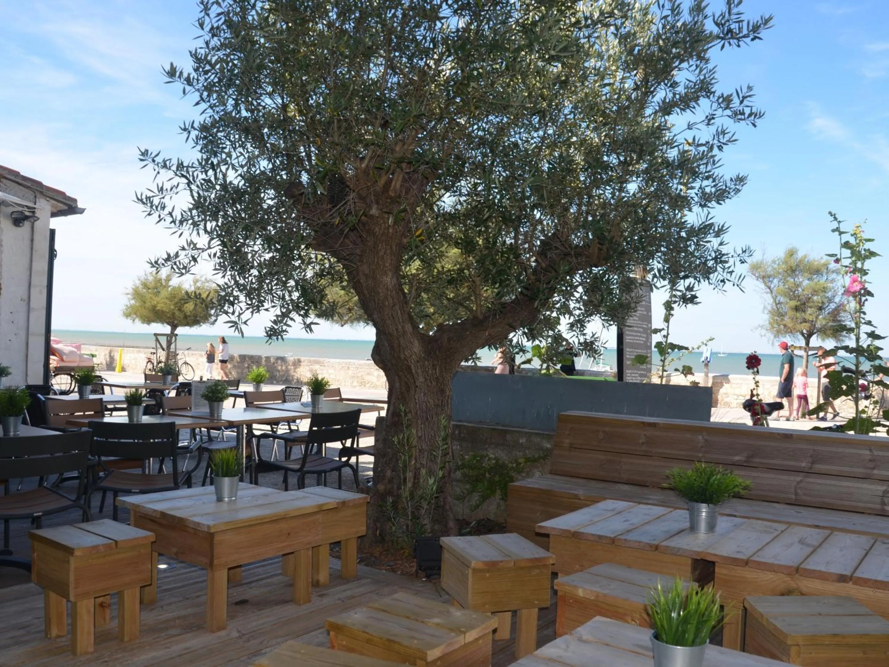 Dining area in Le Mole (Appartements et Chambres)