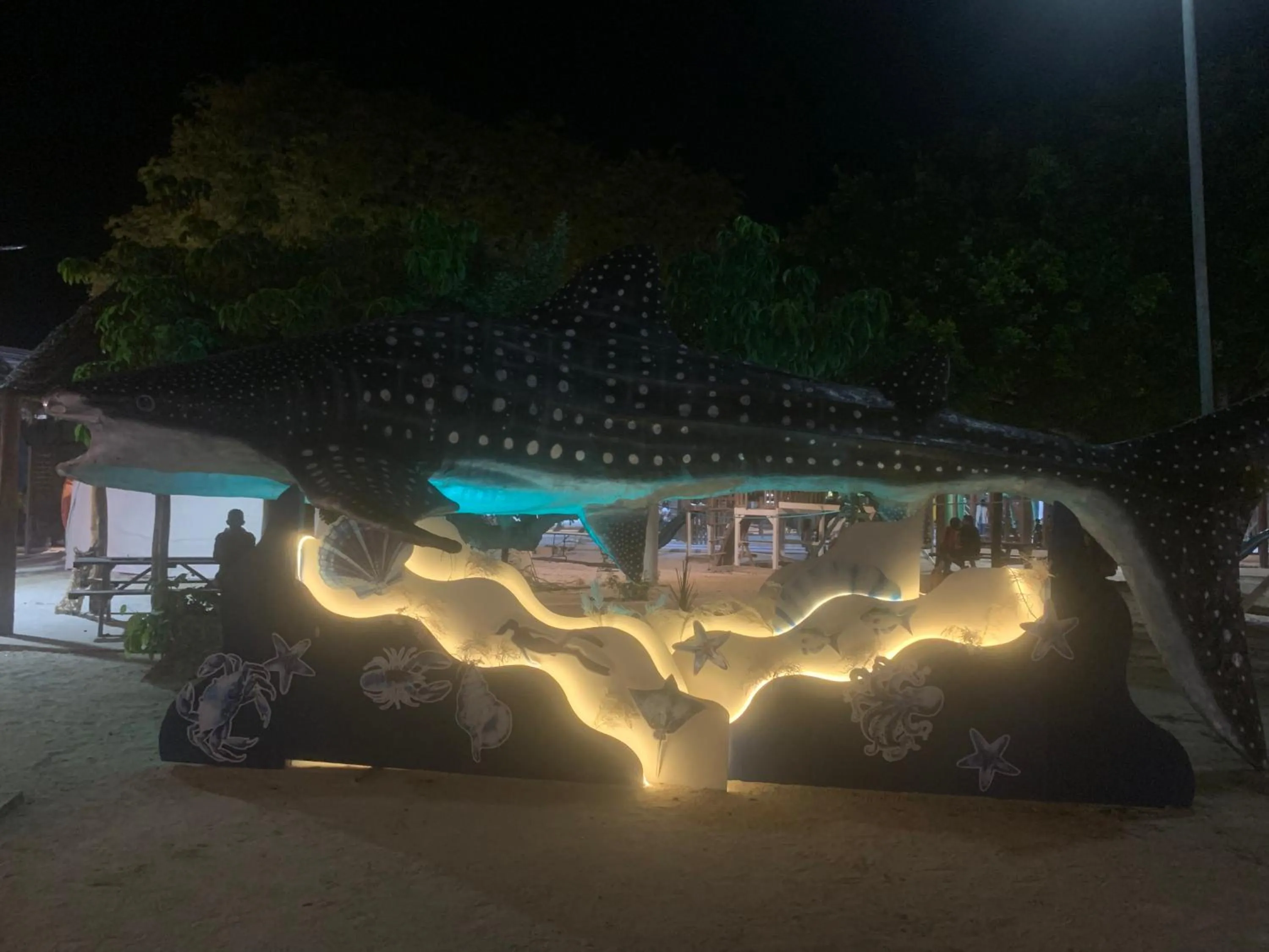 Night in Hotel La Casa del Capi