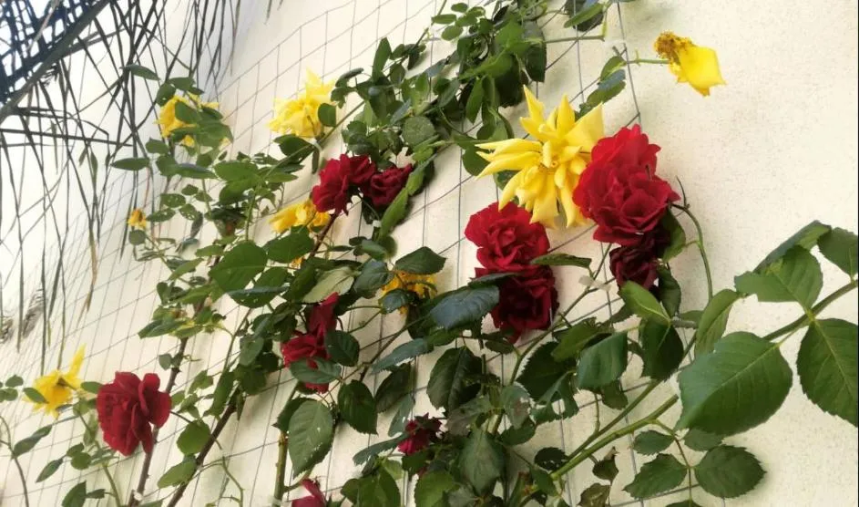 Area and facilities in 8room Hotel