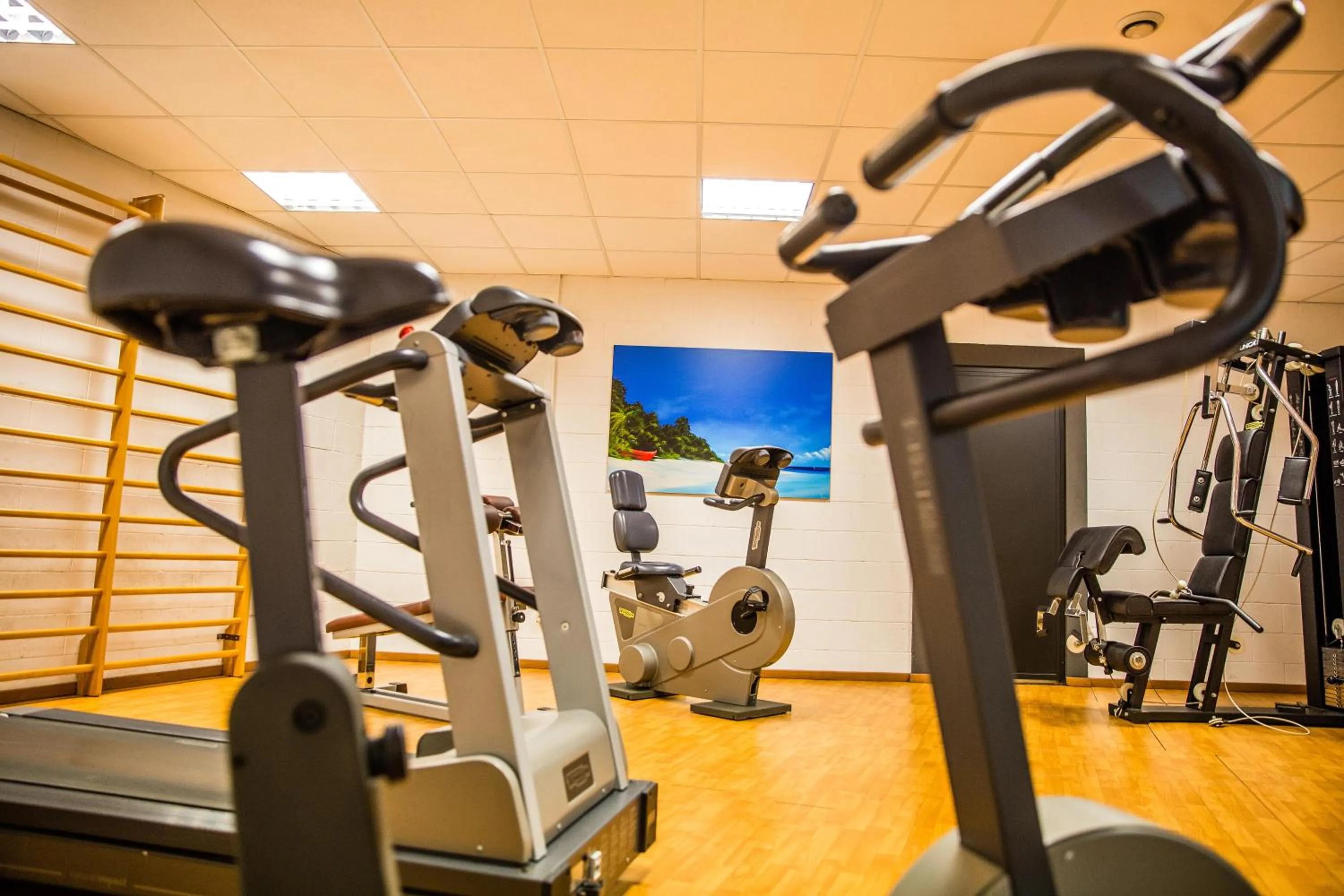Fitness centre/facilities in Hotel Glis