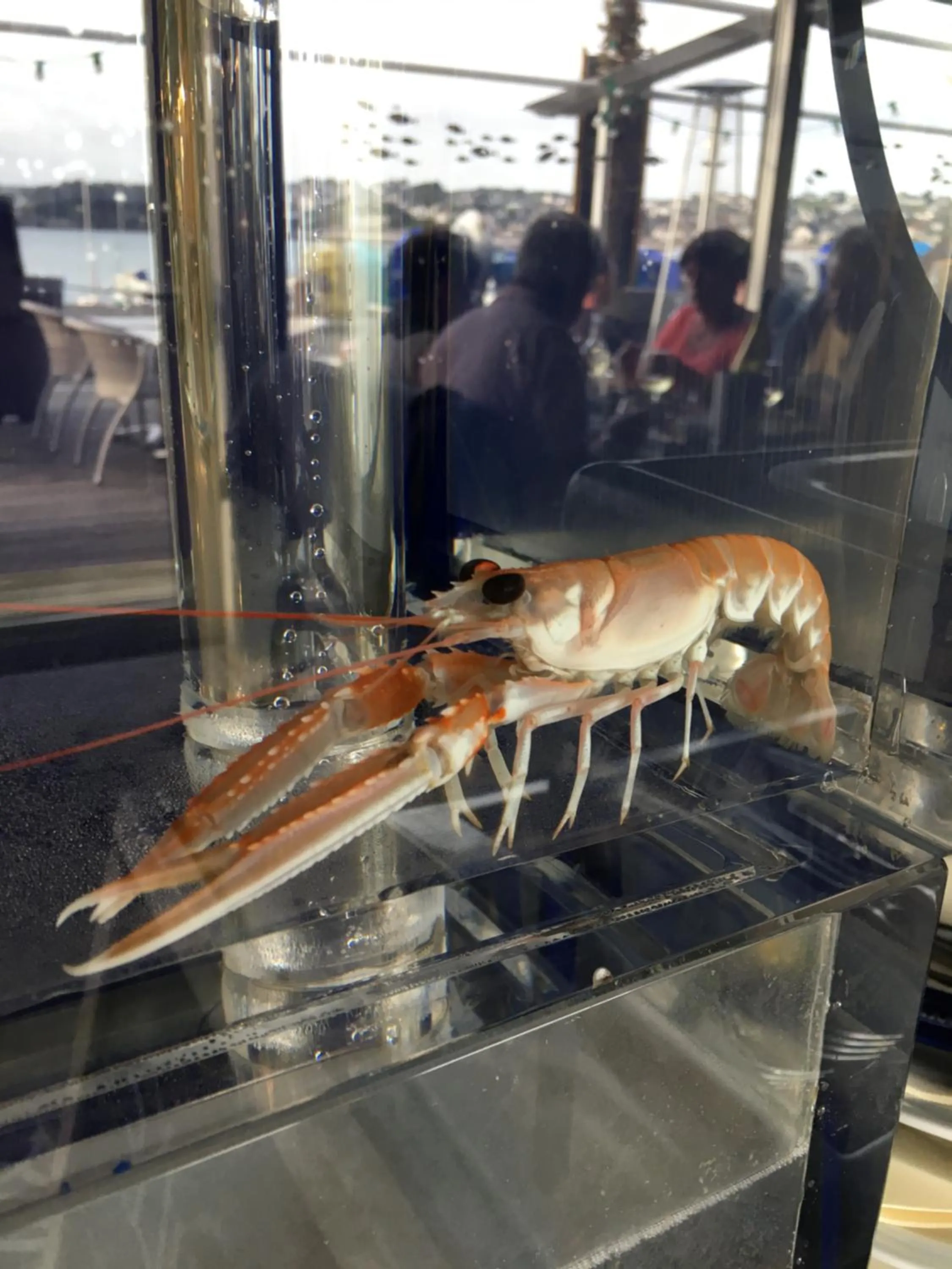 La Table De Jeanne - Hôtel & Restaurant