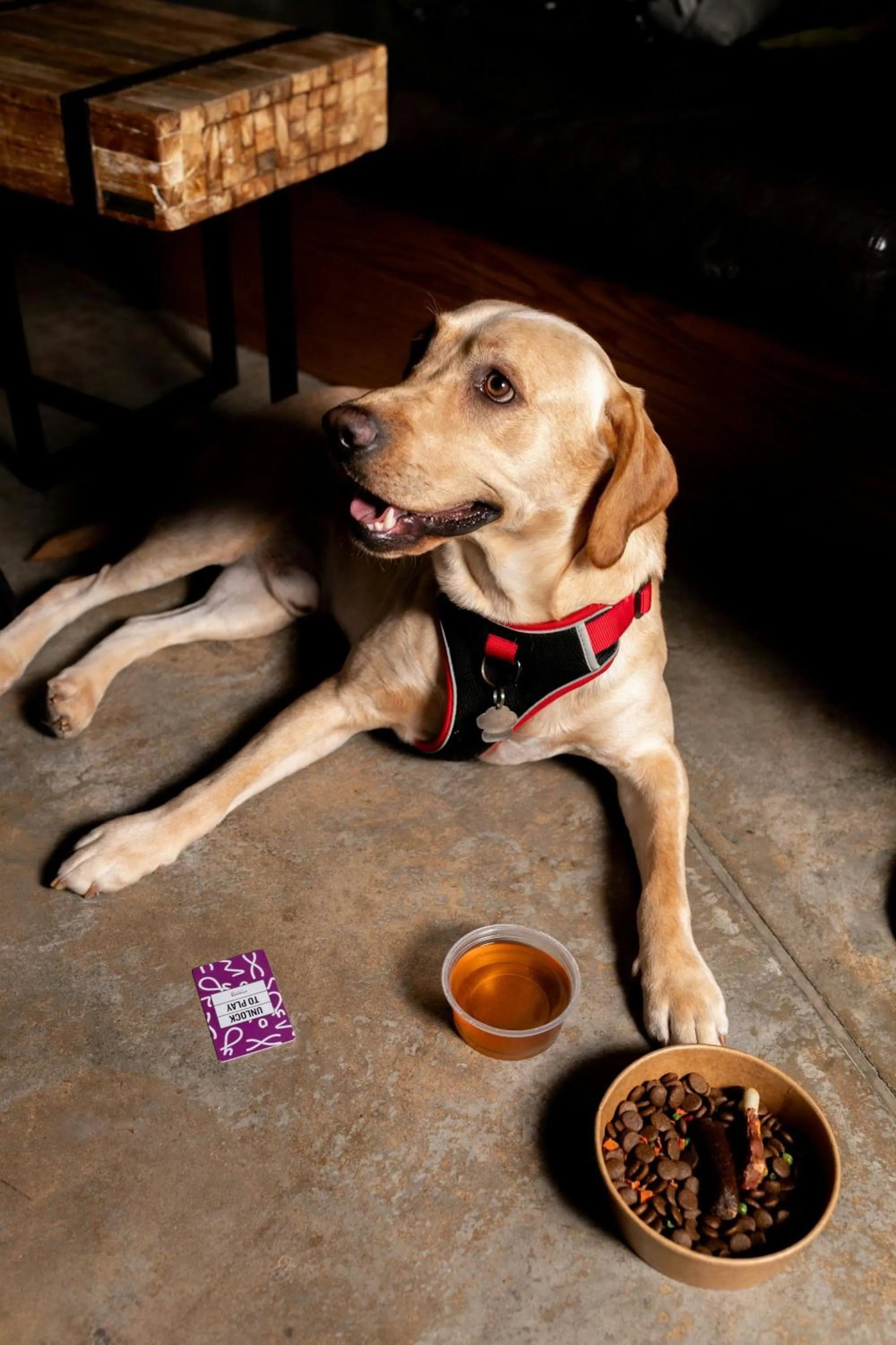 Other in Moxy London Heathrow Airport