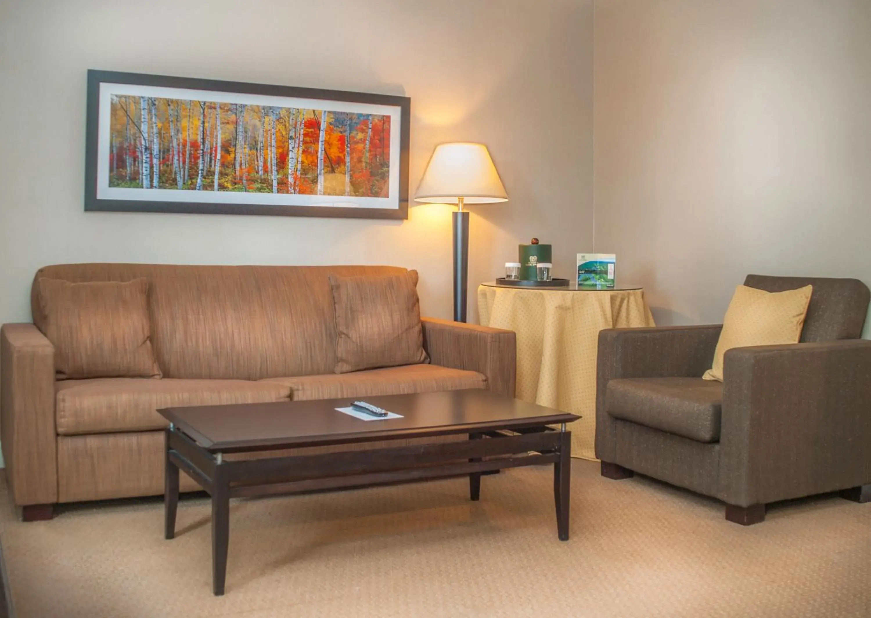 Living room in The Resort at Glade Springs Living room in The Resort at Glade Springs