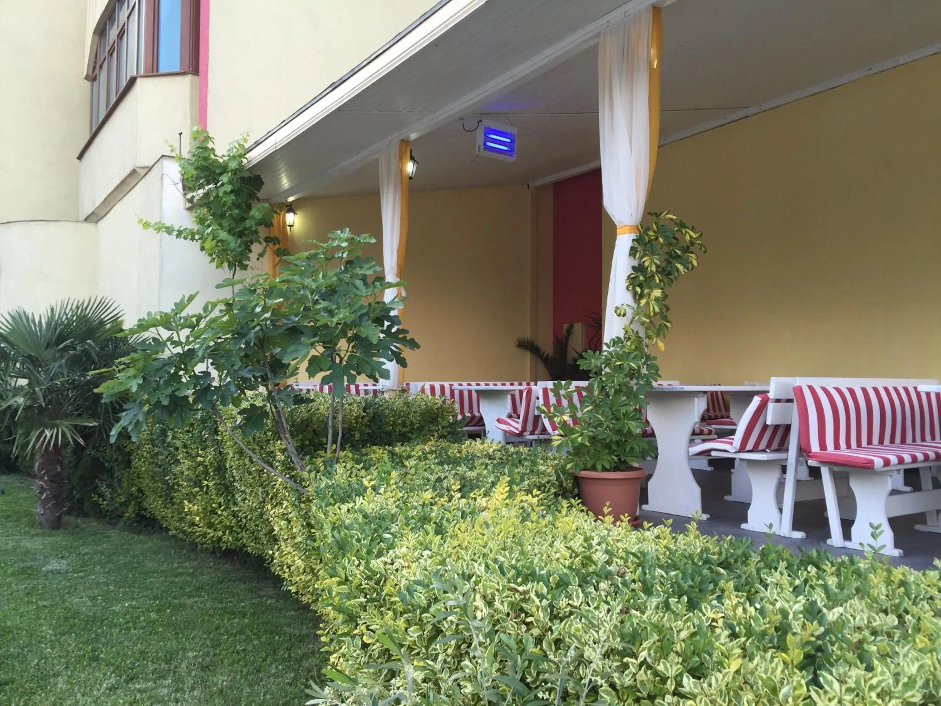 Food and drinks in Perla Sun Beach Hotel - All Inclusive