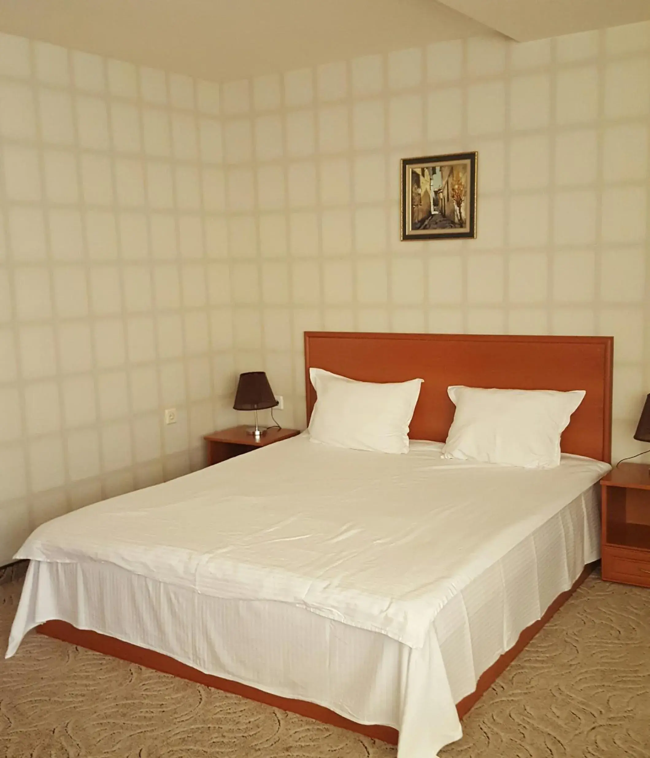 Double Room with Lake View - single occupancy in Семеен хотел Кристал Double Room with Lake View - single occupancy in Семеен хотел Кристал
