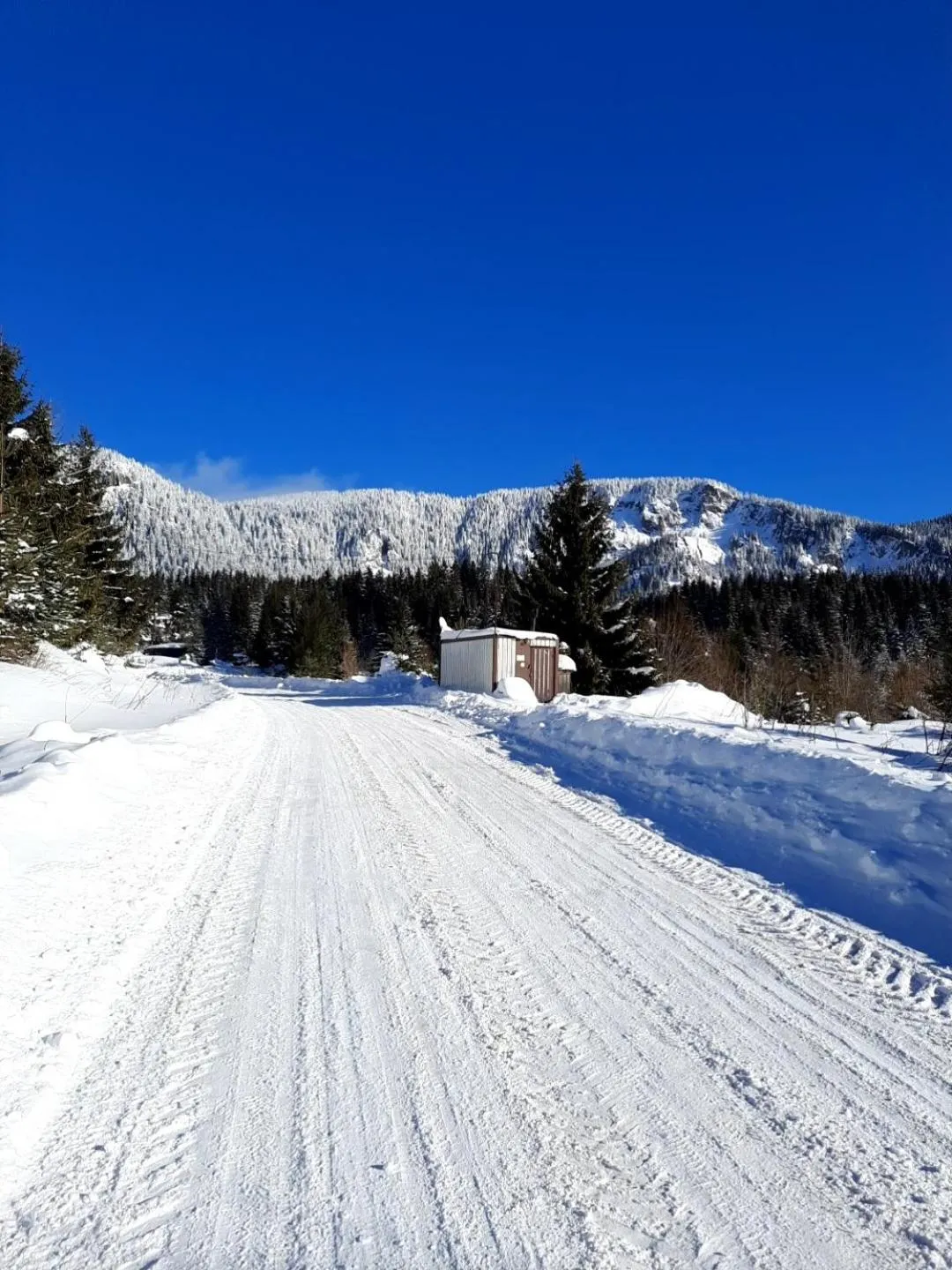 Семеен хотел Кристал