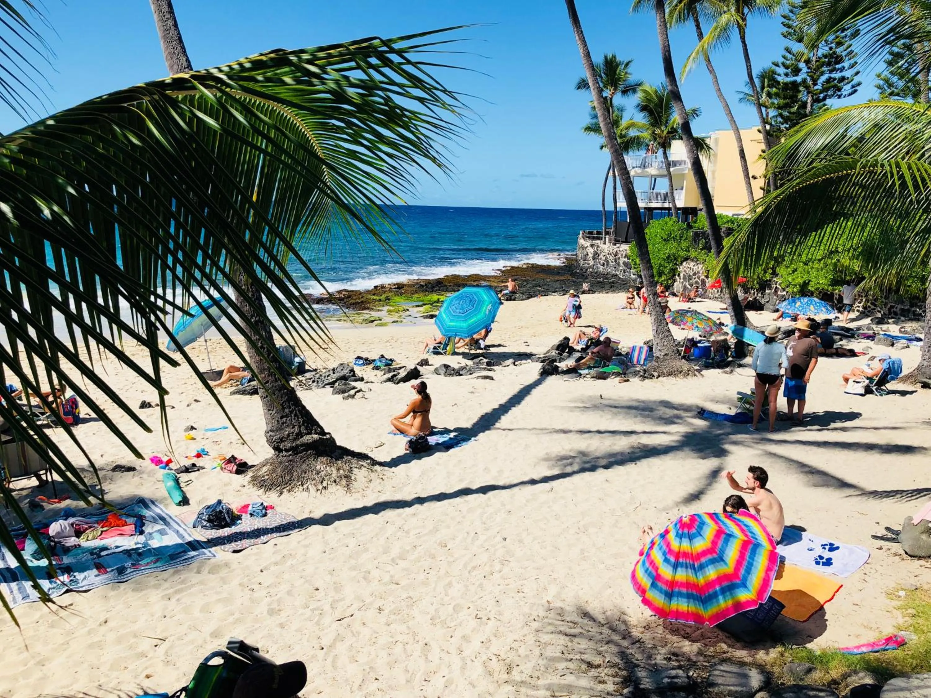 Beach in Kona Magic Honu Room