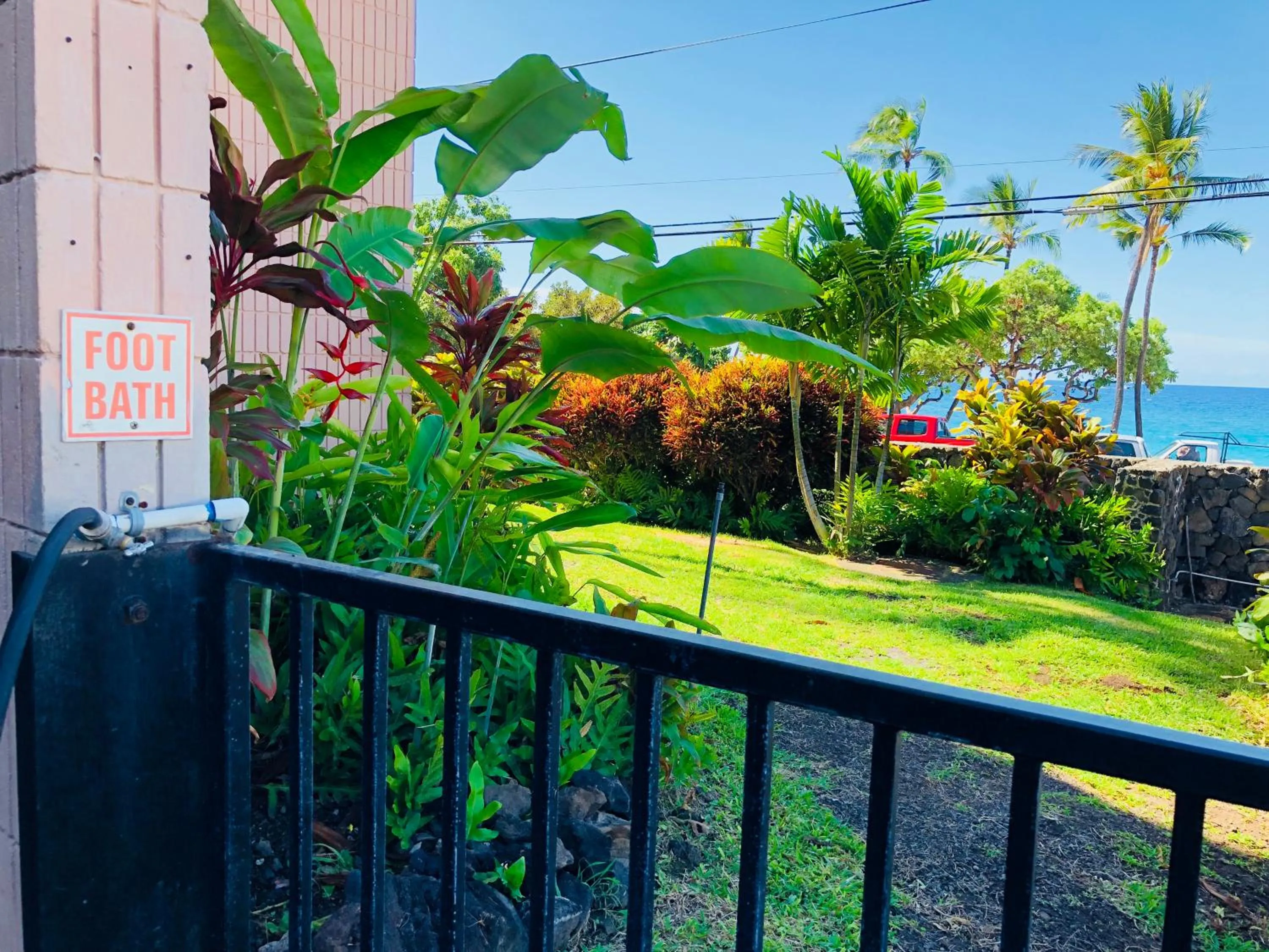 Snorkeling in Kona Magic Honu Room