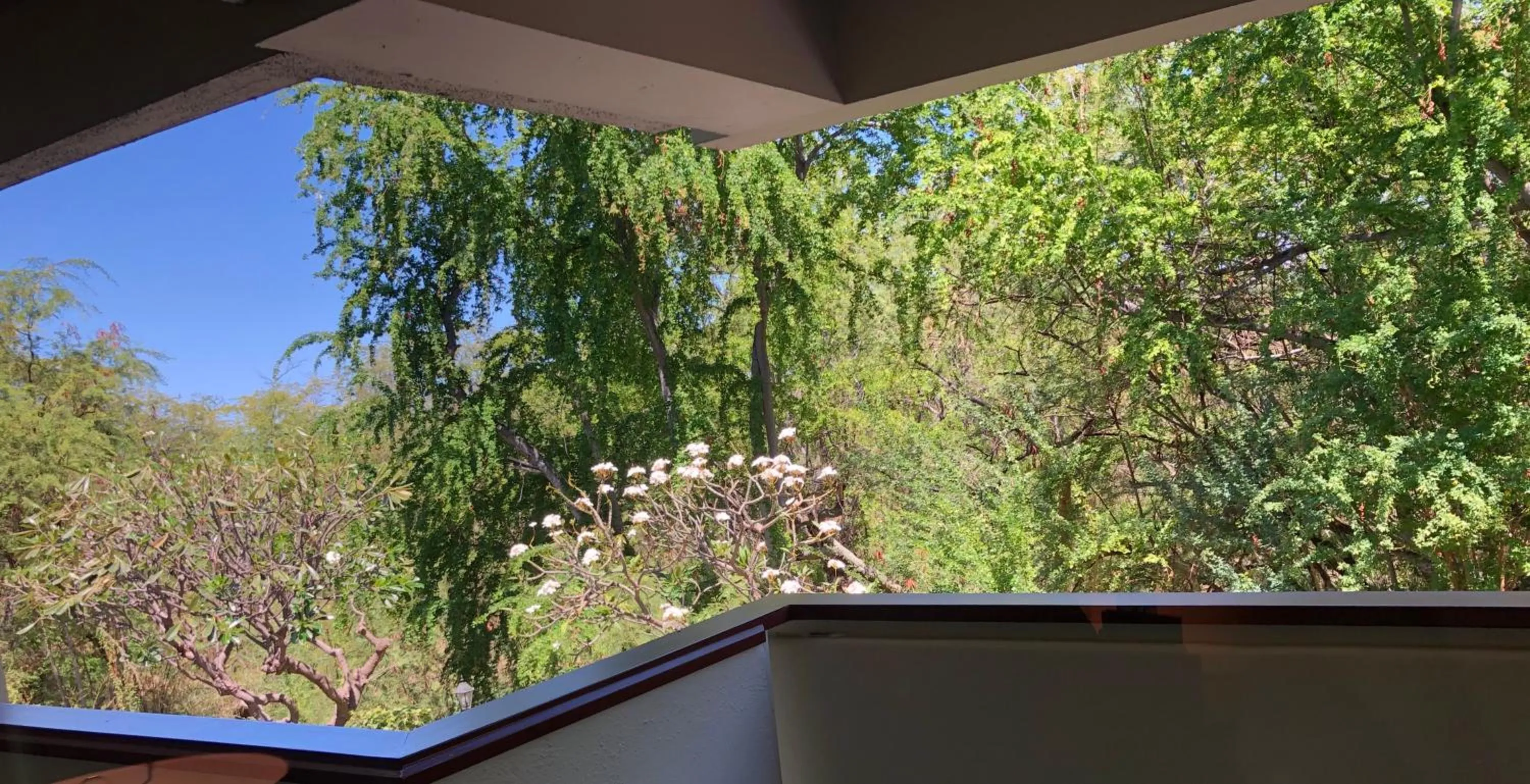 Natural landscape in Kona Magic Honu Room