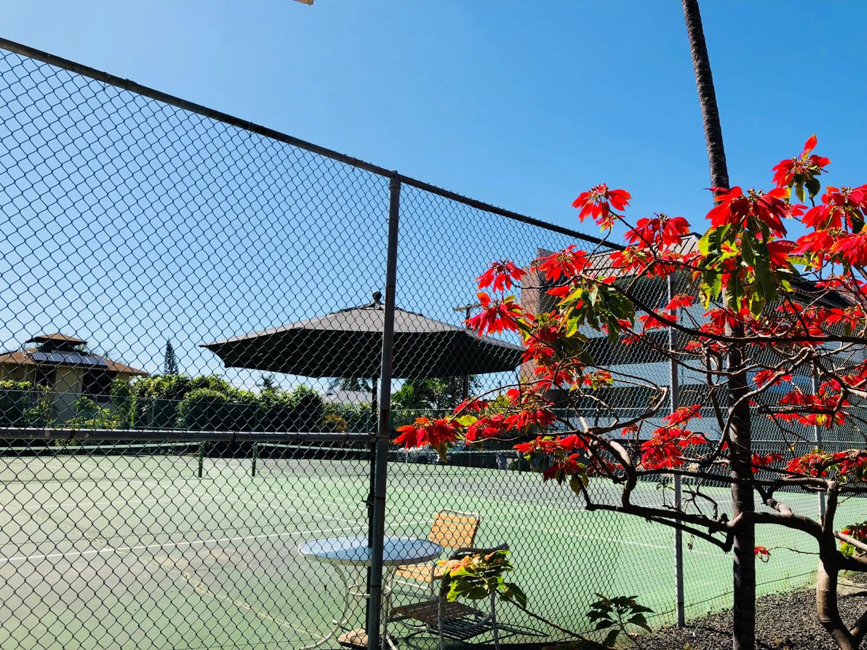 Tennis court in Kona Magic Honu Room