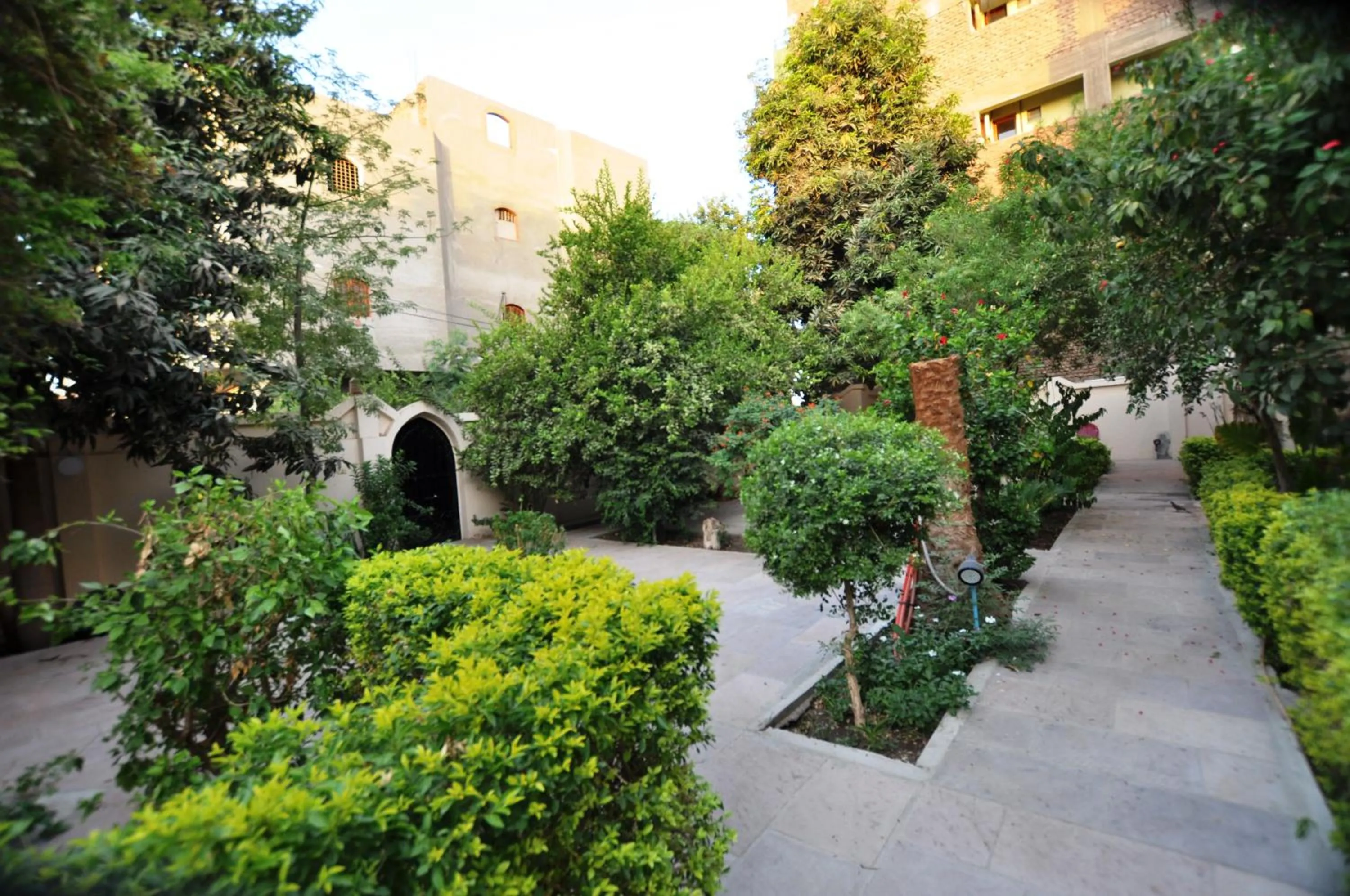 Garden in El Nakhil Hotel