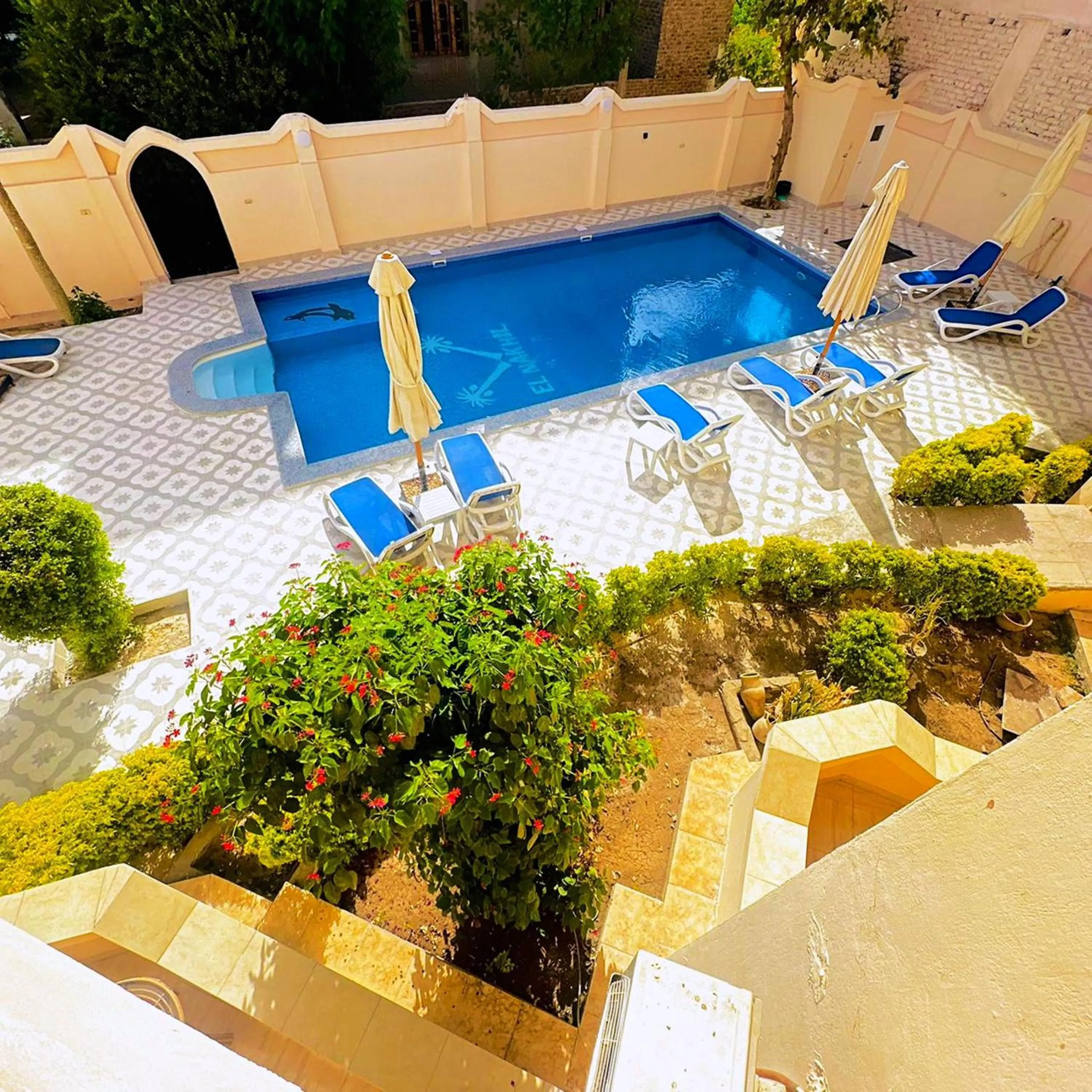 Pool view in El Nakhil Hotel
