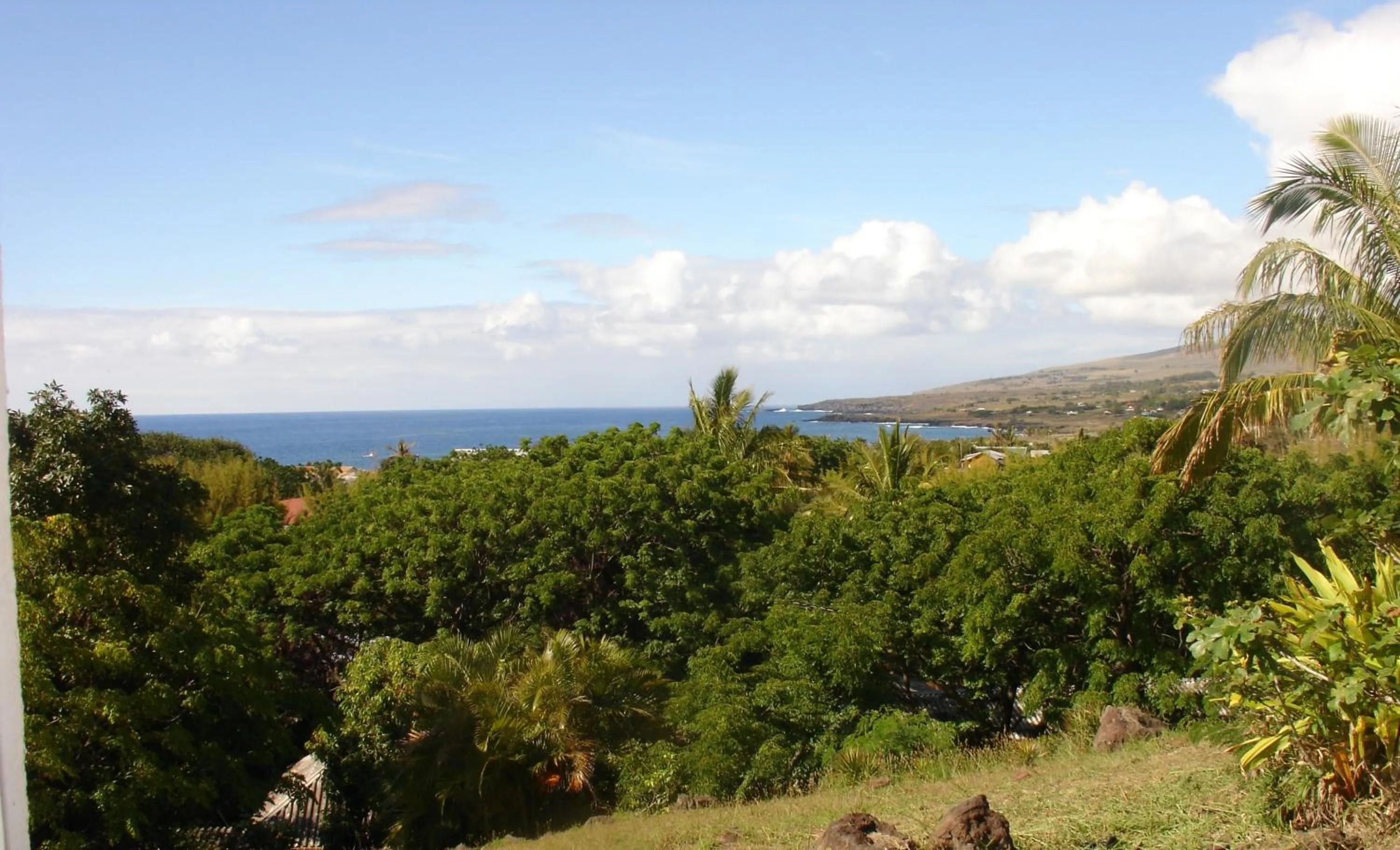 Garden in Hotel Victoria