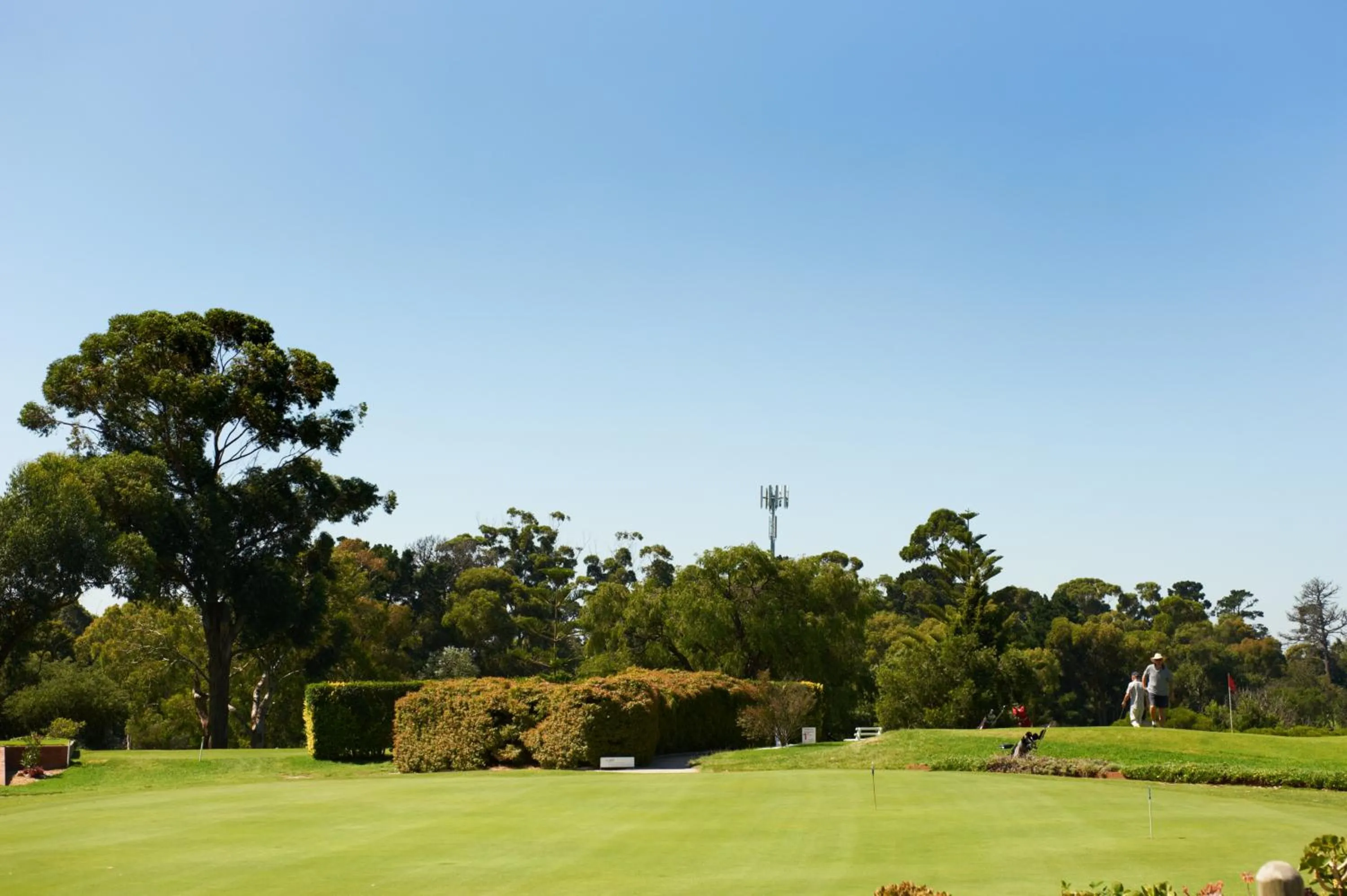 Golfcourse in Quest Cheltenham