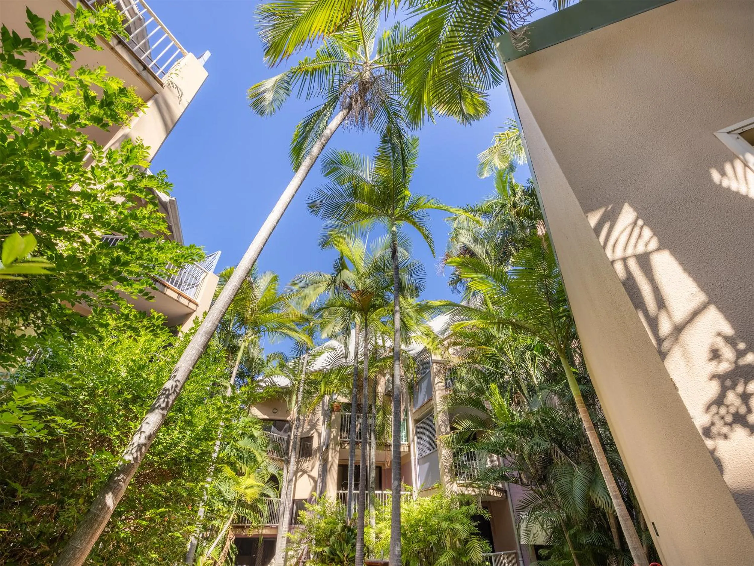 Garden in Spring Hill Gardens Apartments