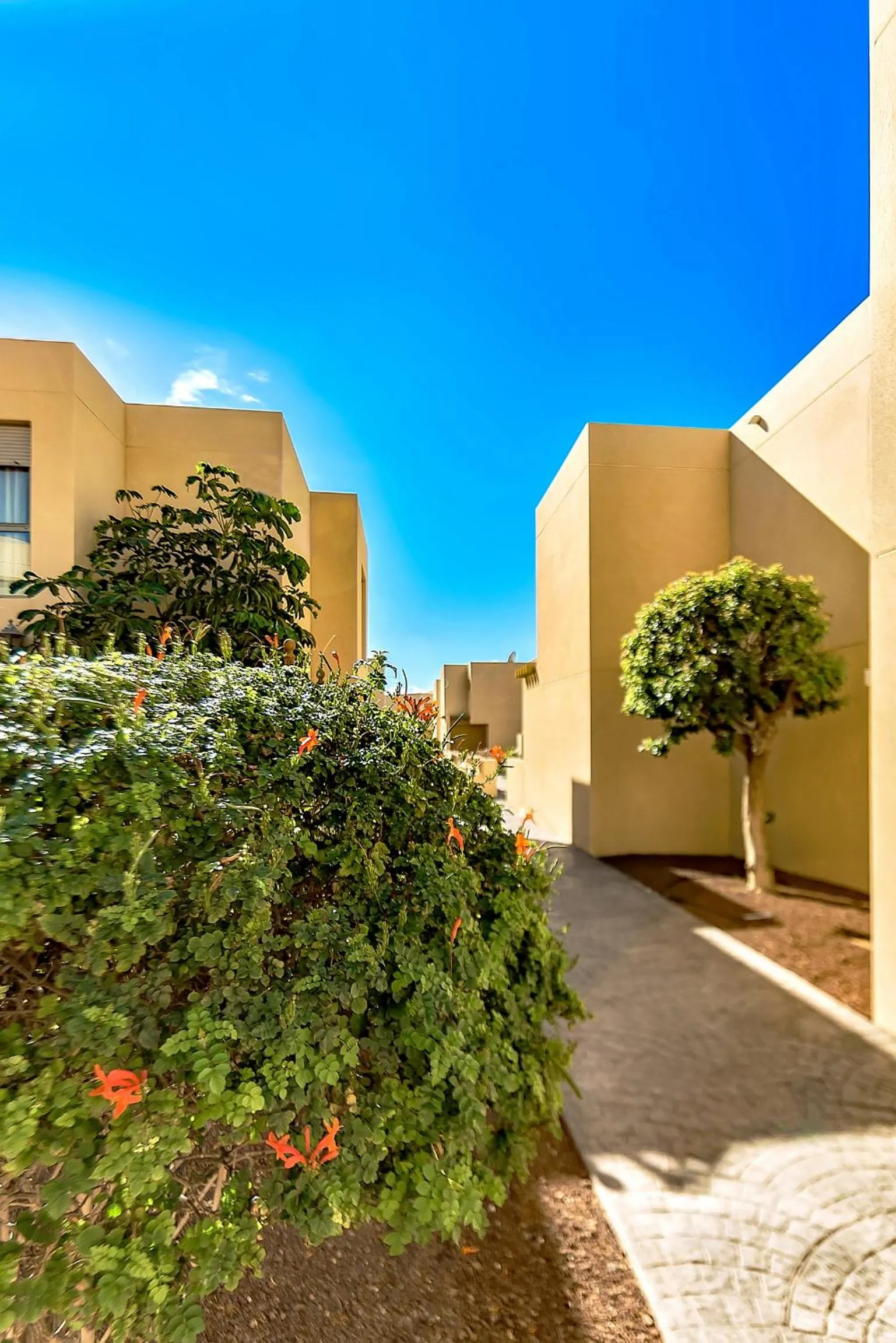 Garden in Family Townhouse La Tejita