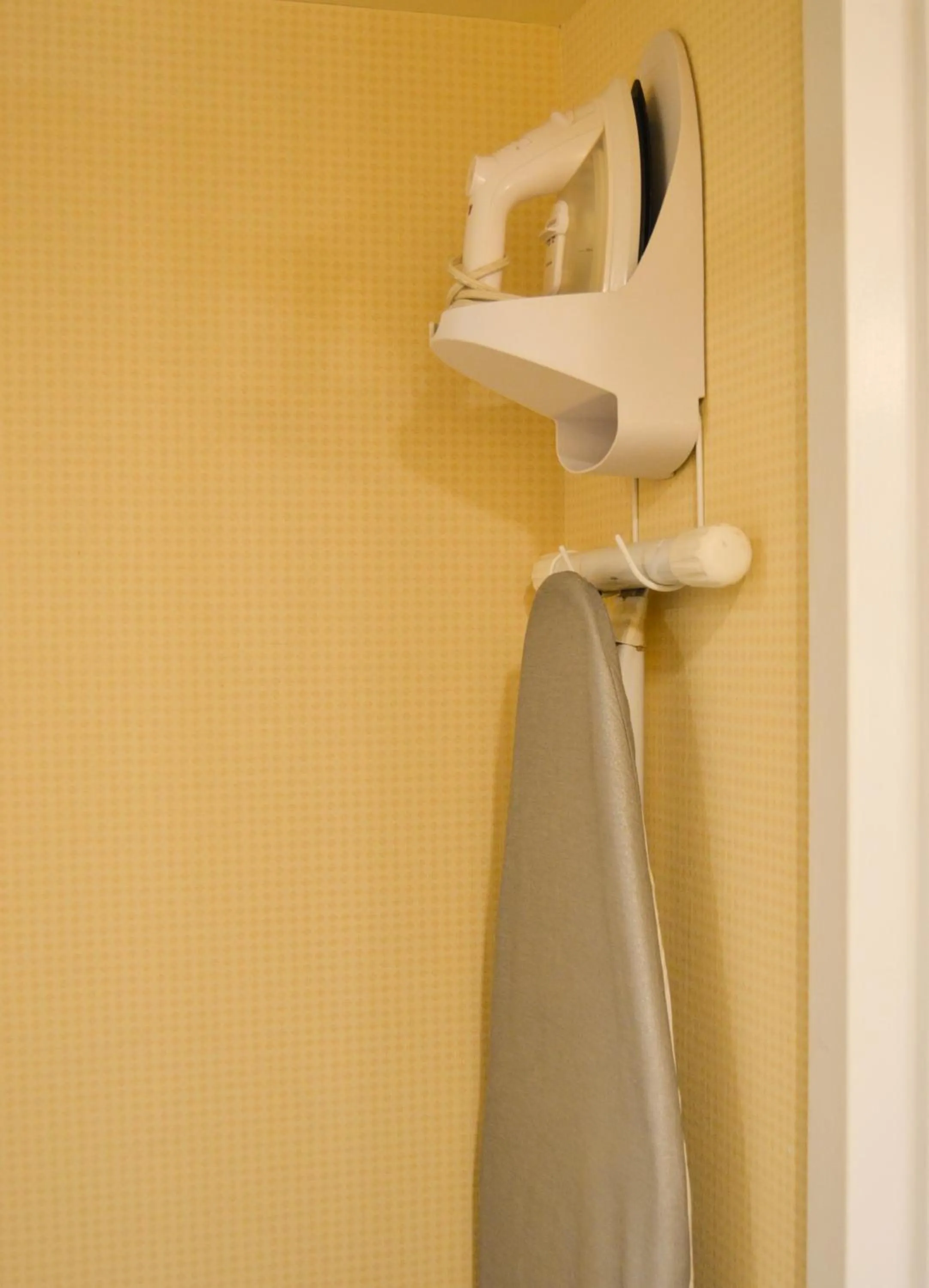 flat iron in Amenida Residences, Calgary