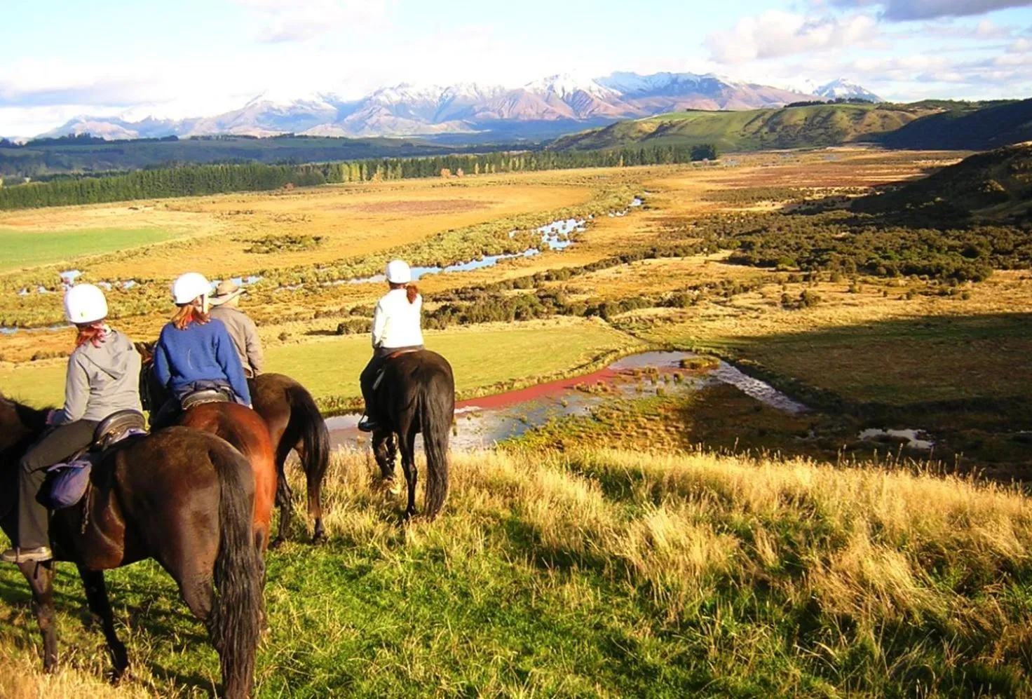 Horse-riding in Marakura Deluxe Motel