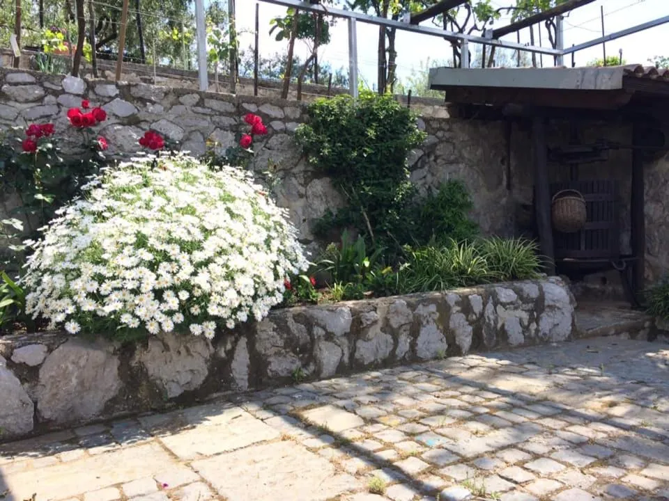 Garden in La Torretta Bianca