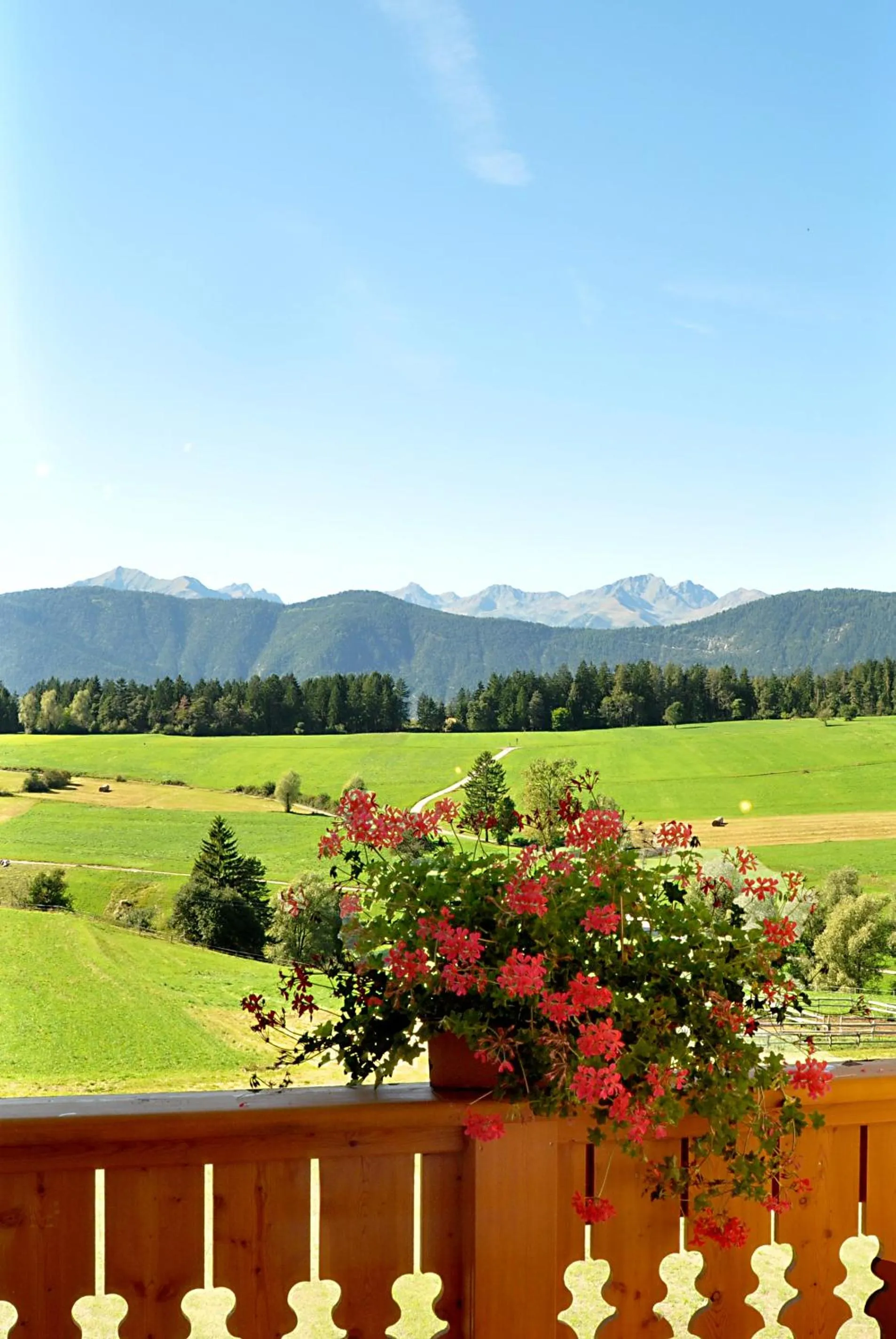 Mountain view in Hotel Rosa Resort