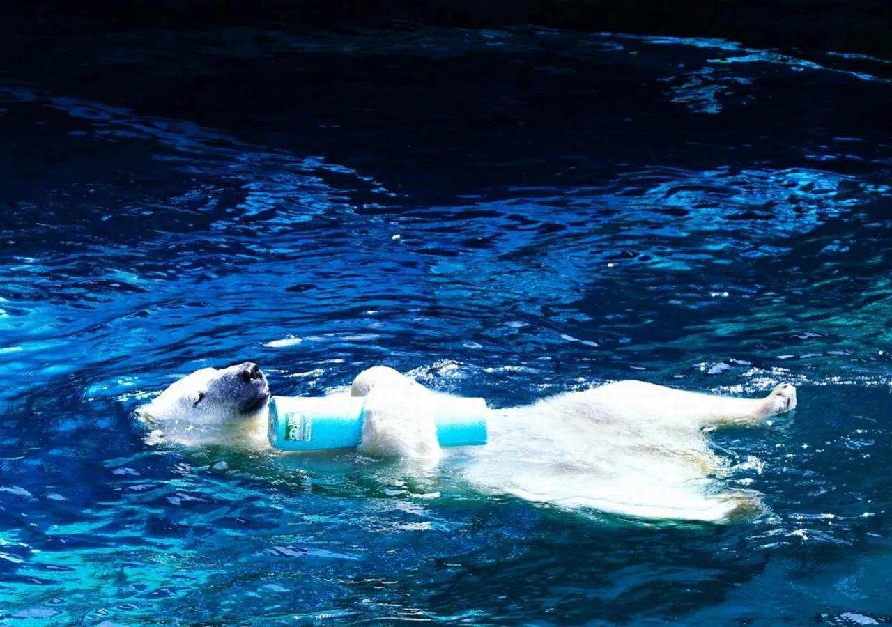 Nearby landmark in Tokyu Stay Sapporo