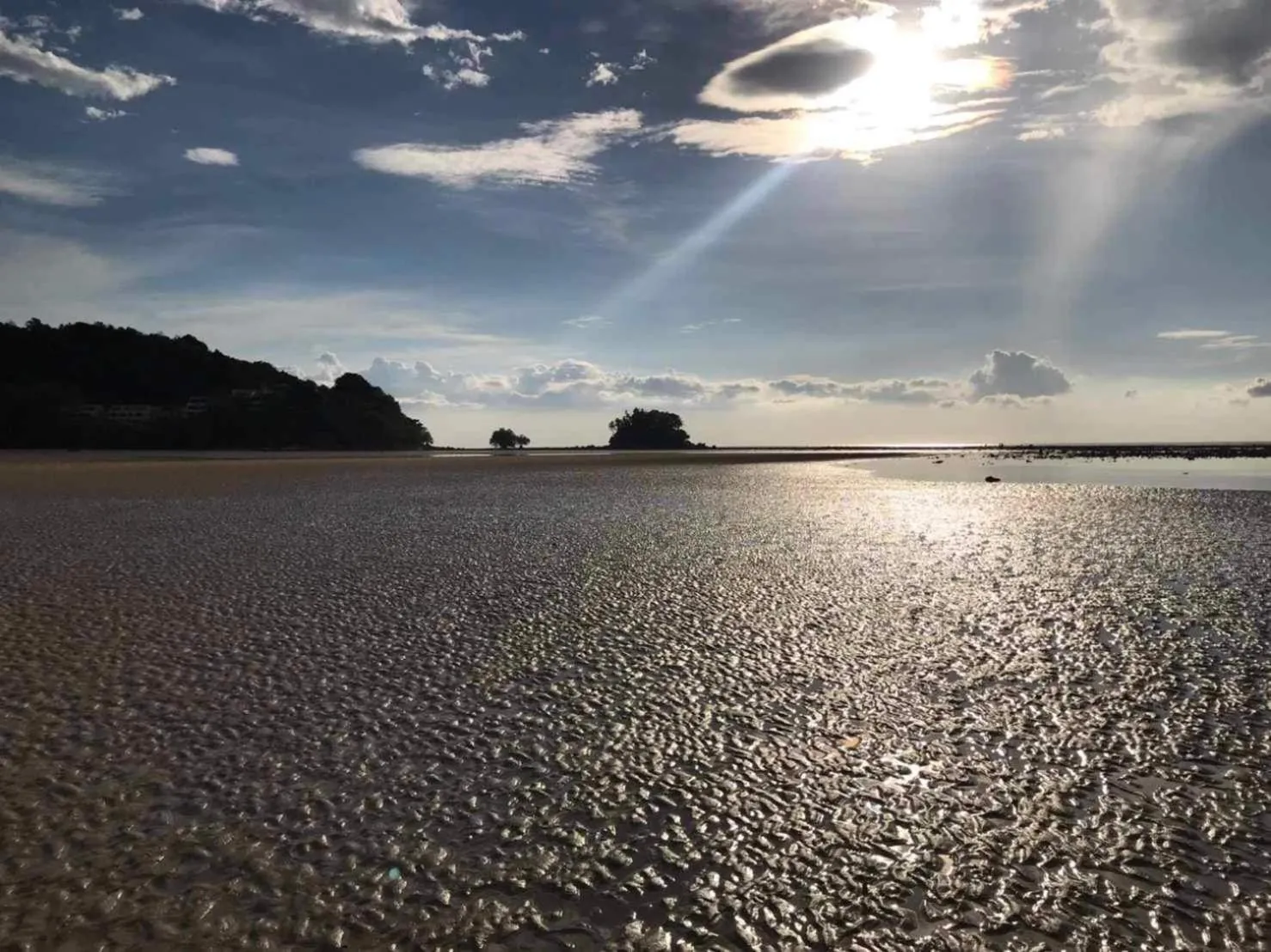 Natural landscape in Dwell Phuket Airport Hotel at Naiyang