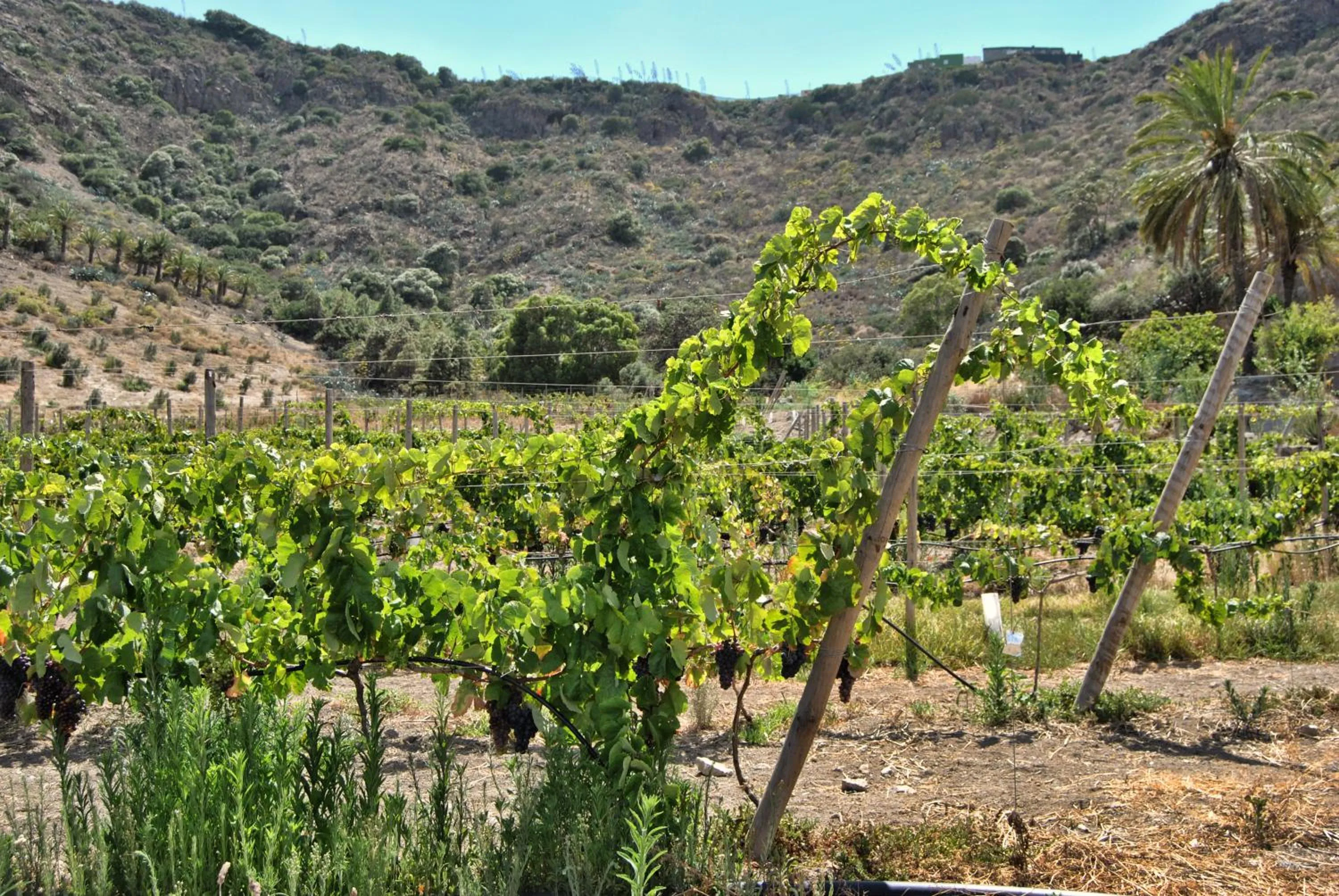 Natural landscape in Hotel Rural El Mondalón
