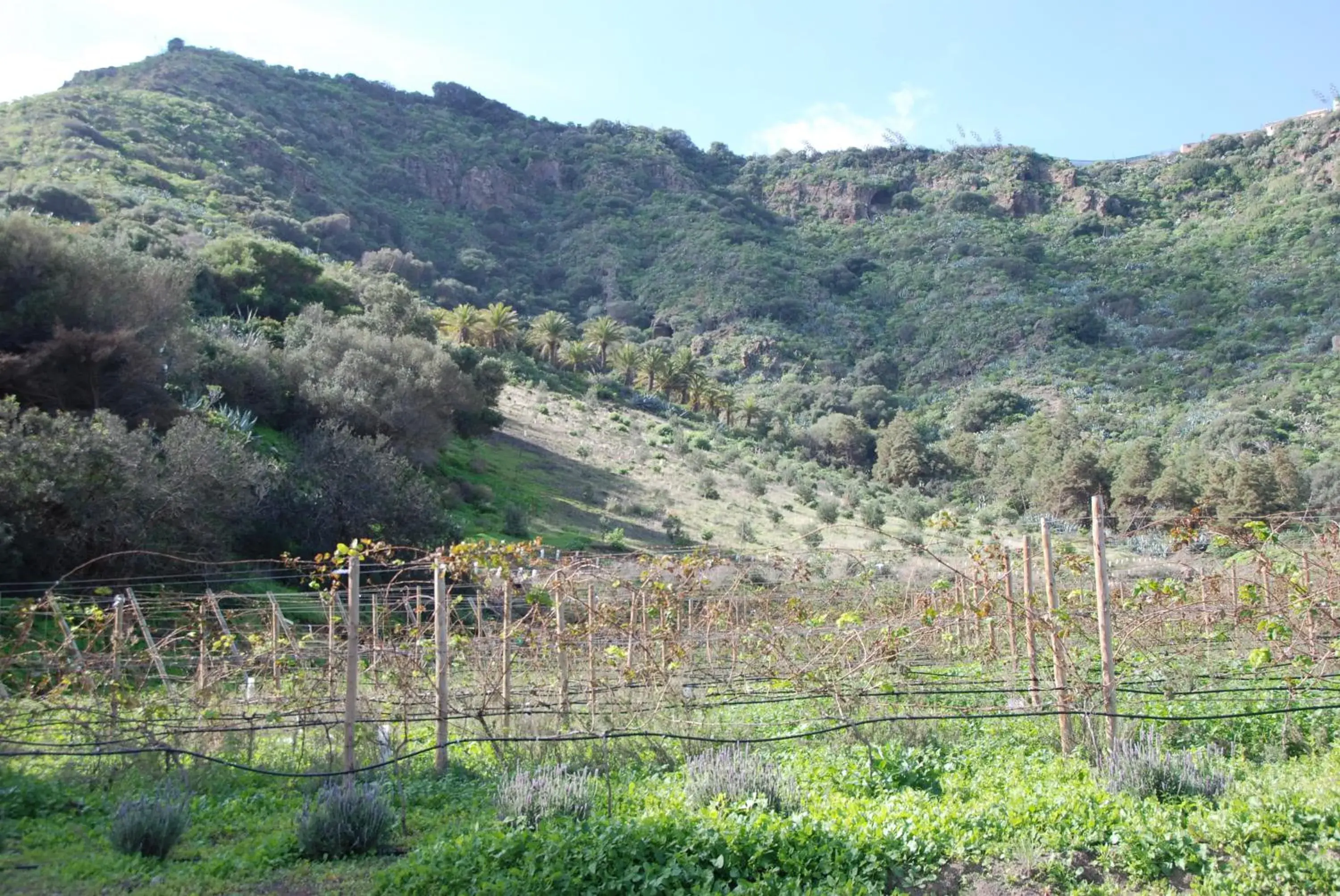 Facade/entrance in Hotel Rural El Mondalón Facade/entrance in Hotel Rural El Mondalón