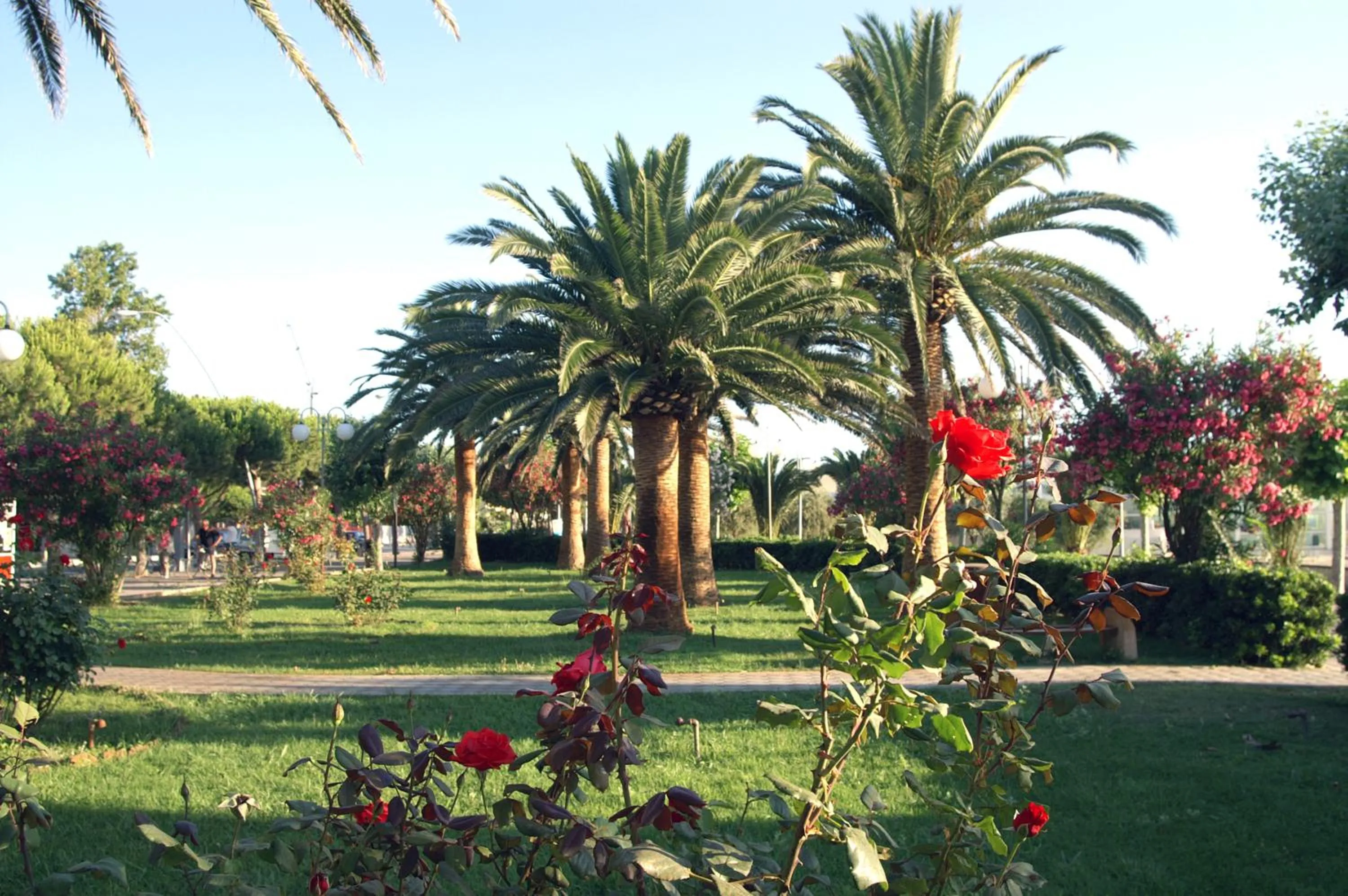 Natural landscape in Residence Helene