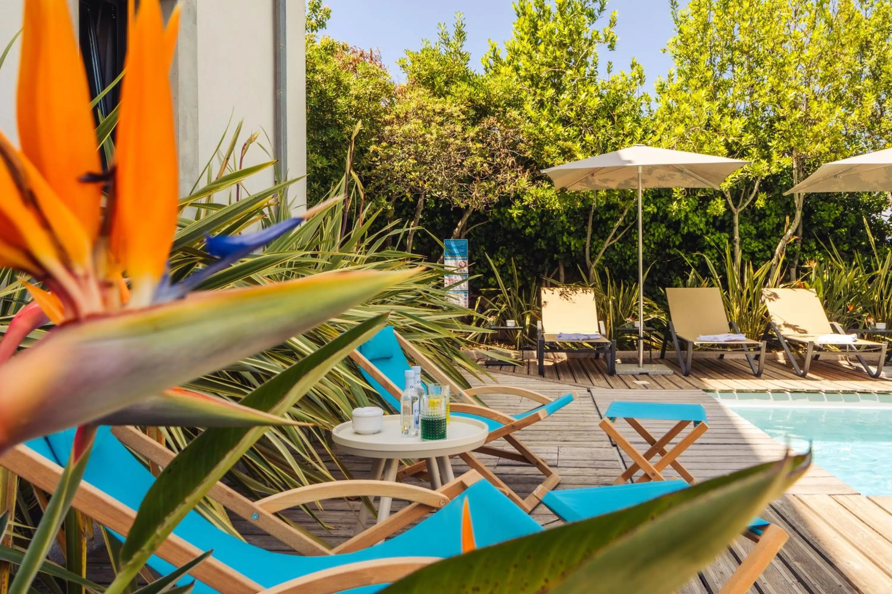 Swimming pool in Rossi Hôtel