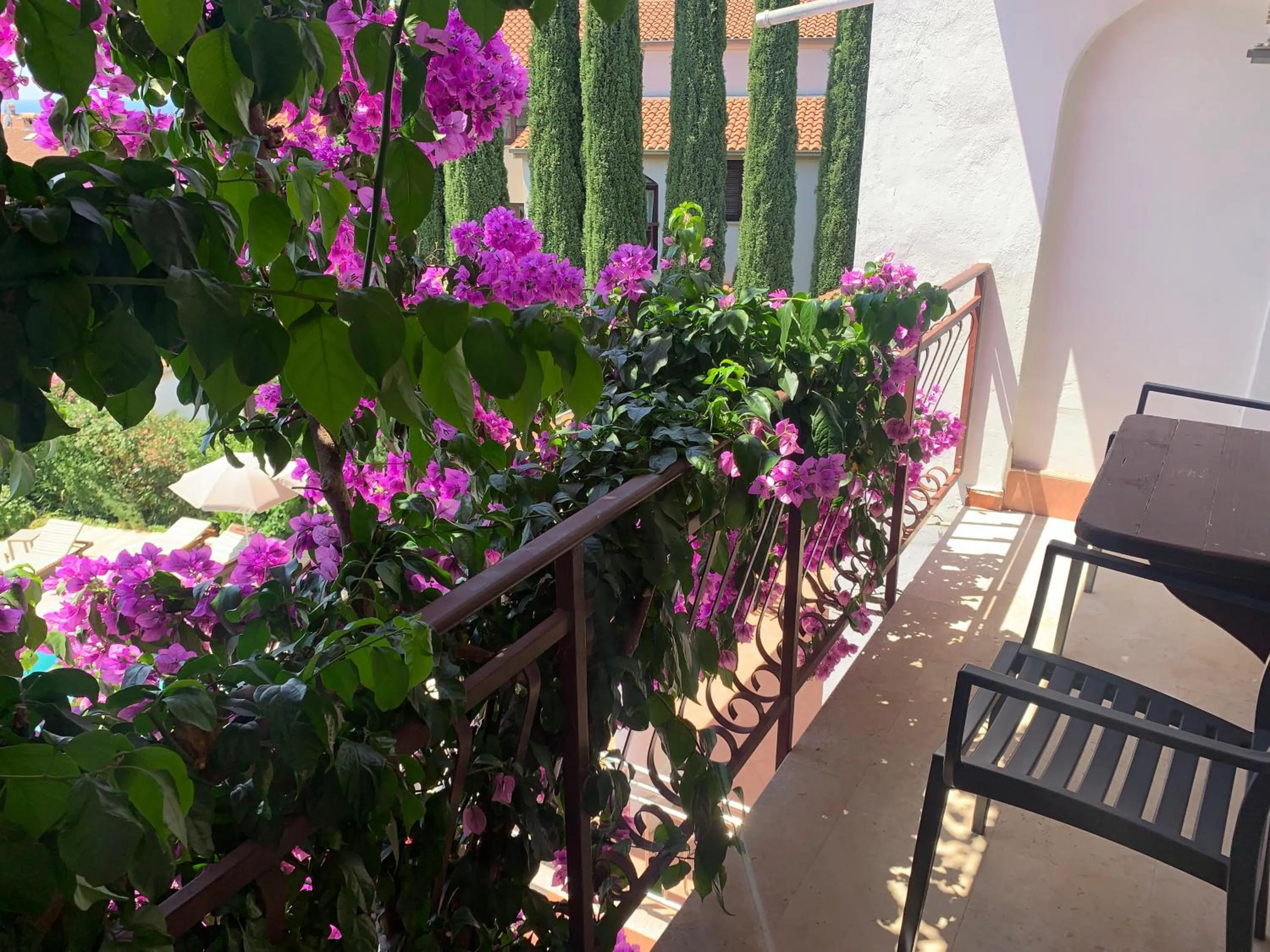 Spring in Gargamelo Pension