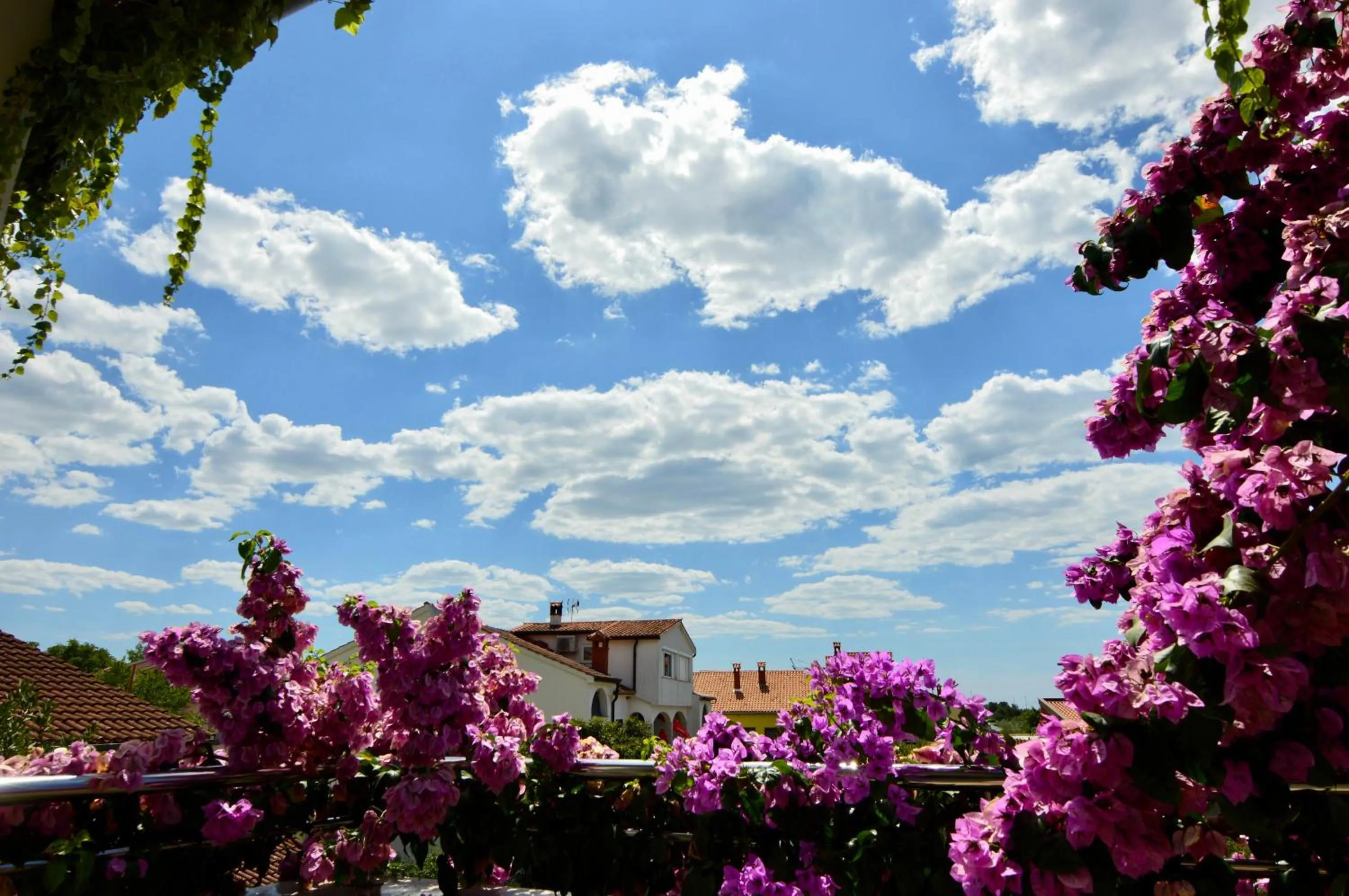 Day in Gargamelo Pension