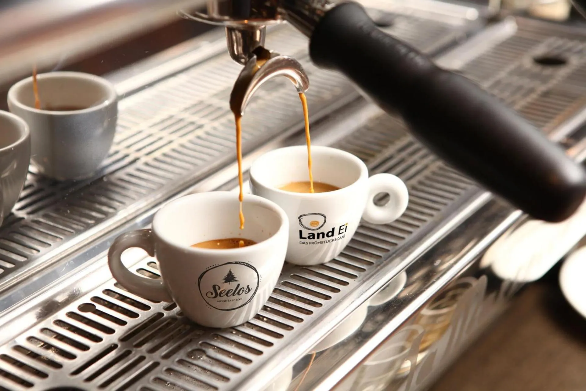 Property logo or sign in Seelos - Alpine Easy Stay - Bed & Breakfast