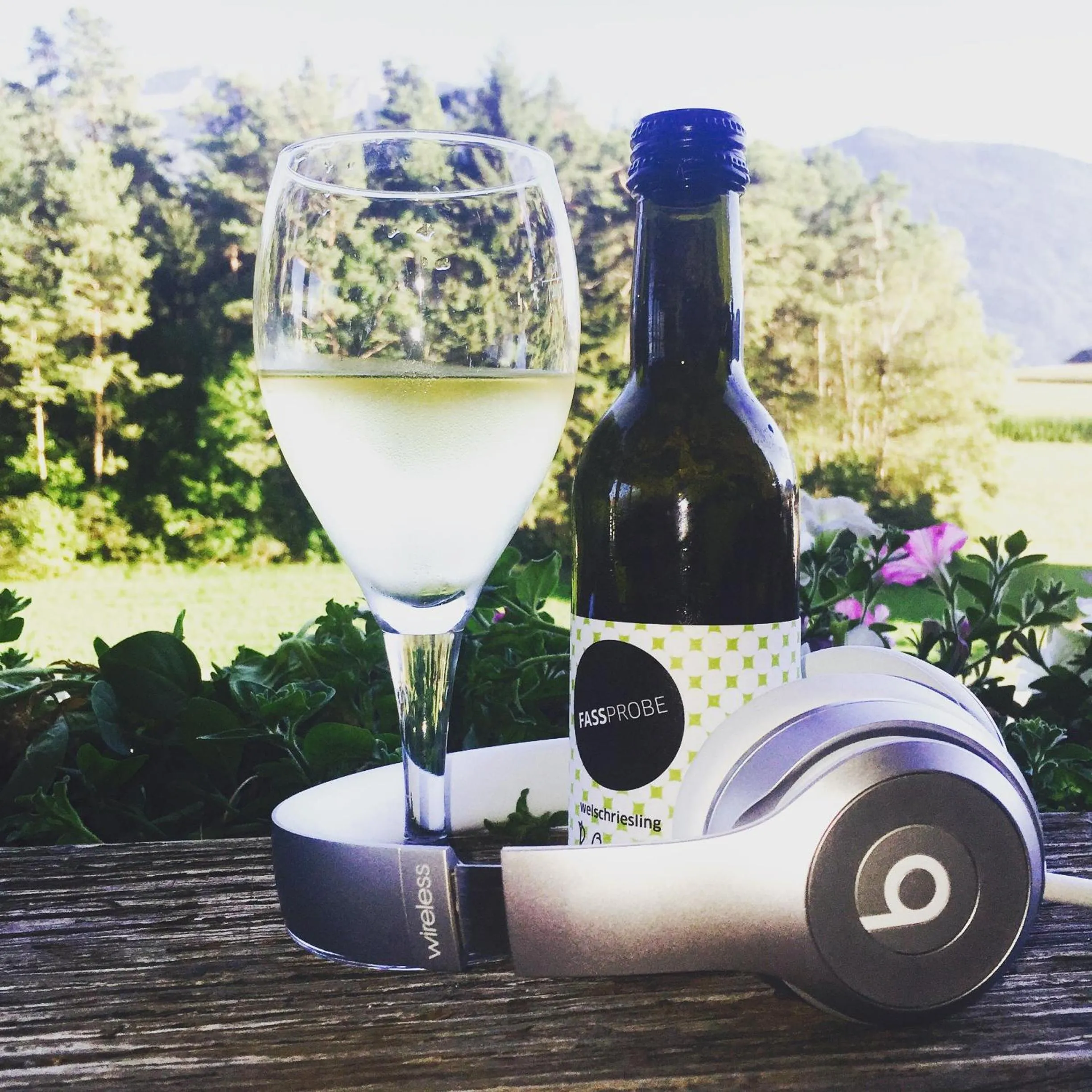 Garden in Seelos - Alpine Easy Stay - Bed & Breakfast