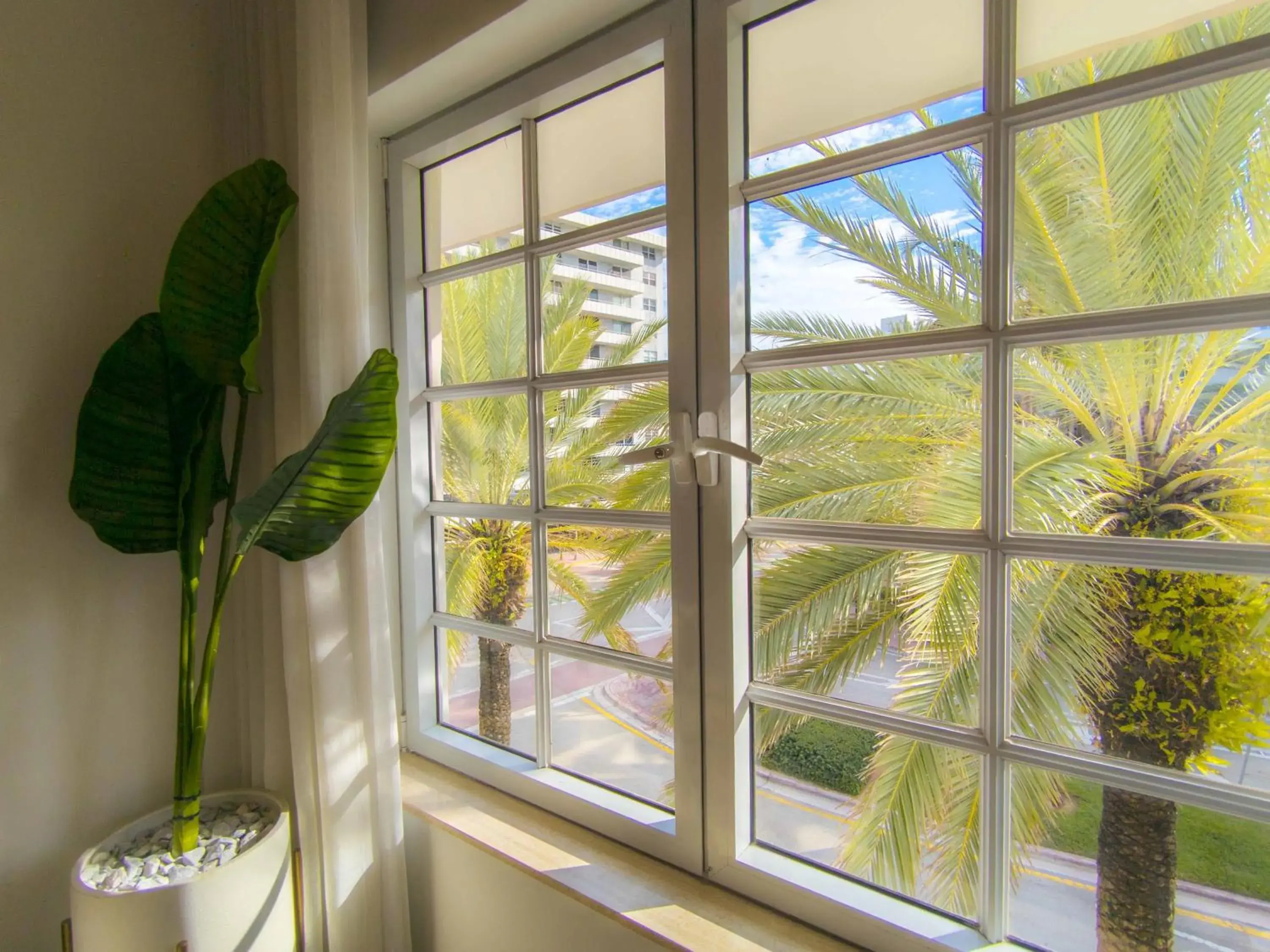 City view in Bentley Hotel South Beach City view in Bentley Hotel South Beach